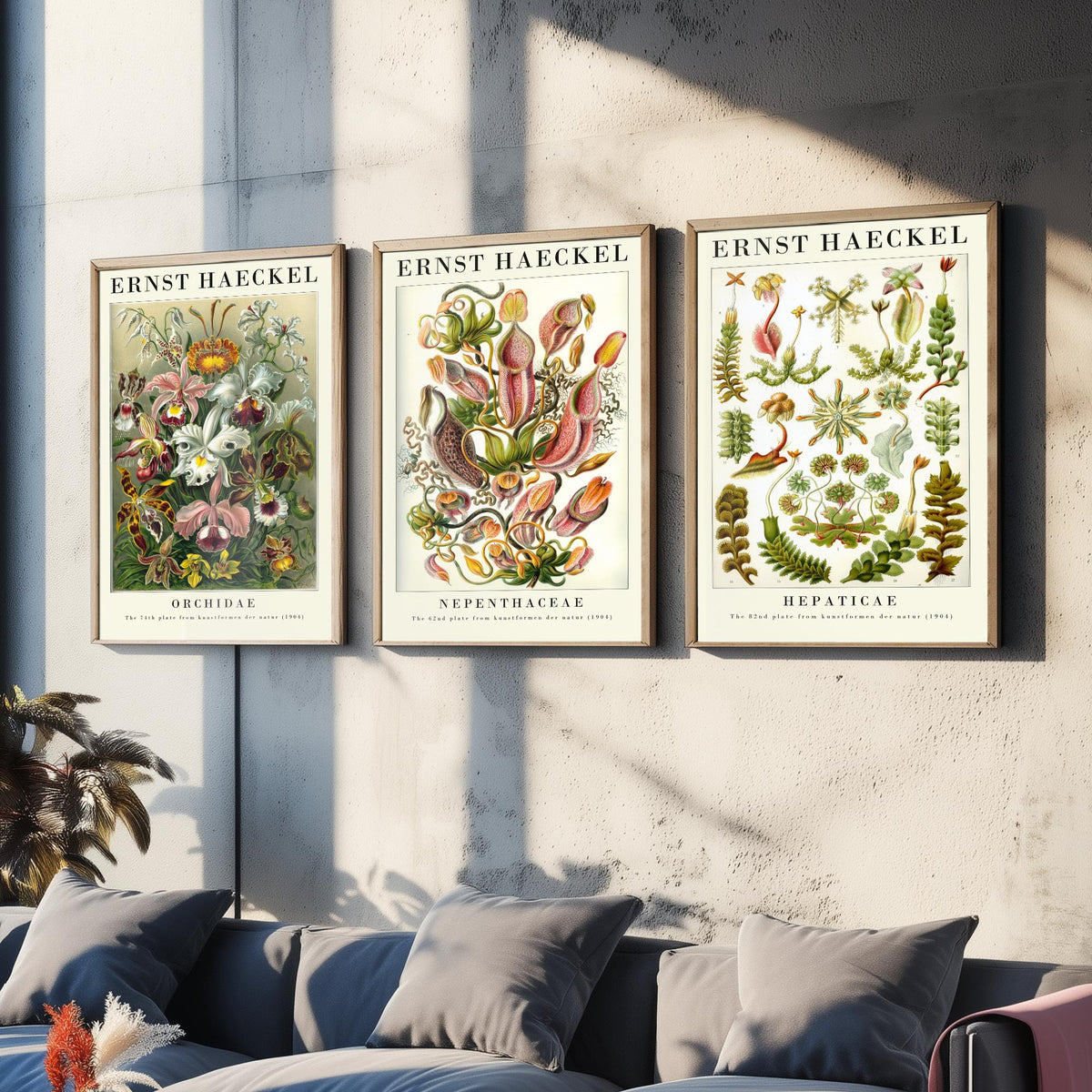 Ernst Haeckel Set of Three Gallery Art Prints - 3 Orchid Pitcher Plant Liverwort Posters - Vintage Botanical Flower Illustration