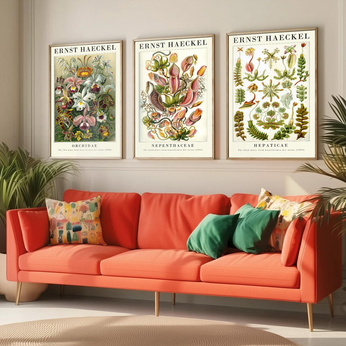 Ernst Haeckel Set of Three Gallery Art Prints - 3 Orchid Pitcher Plant Liverwort Posters - Vintage Botanical Flower Illustration