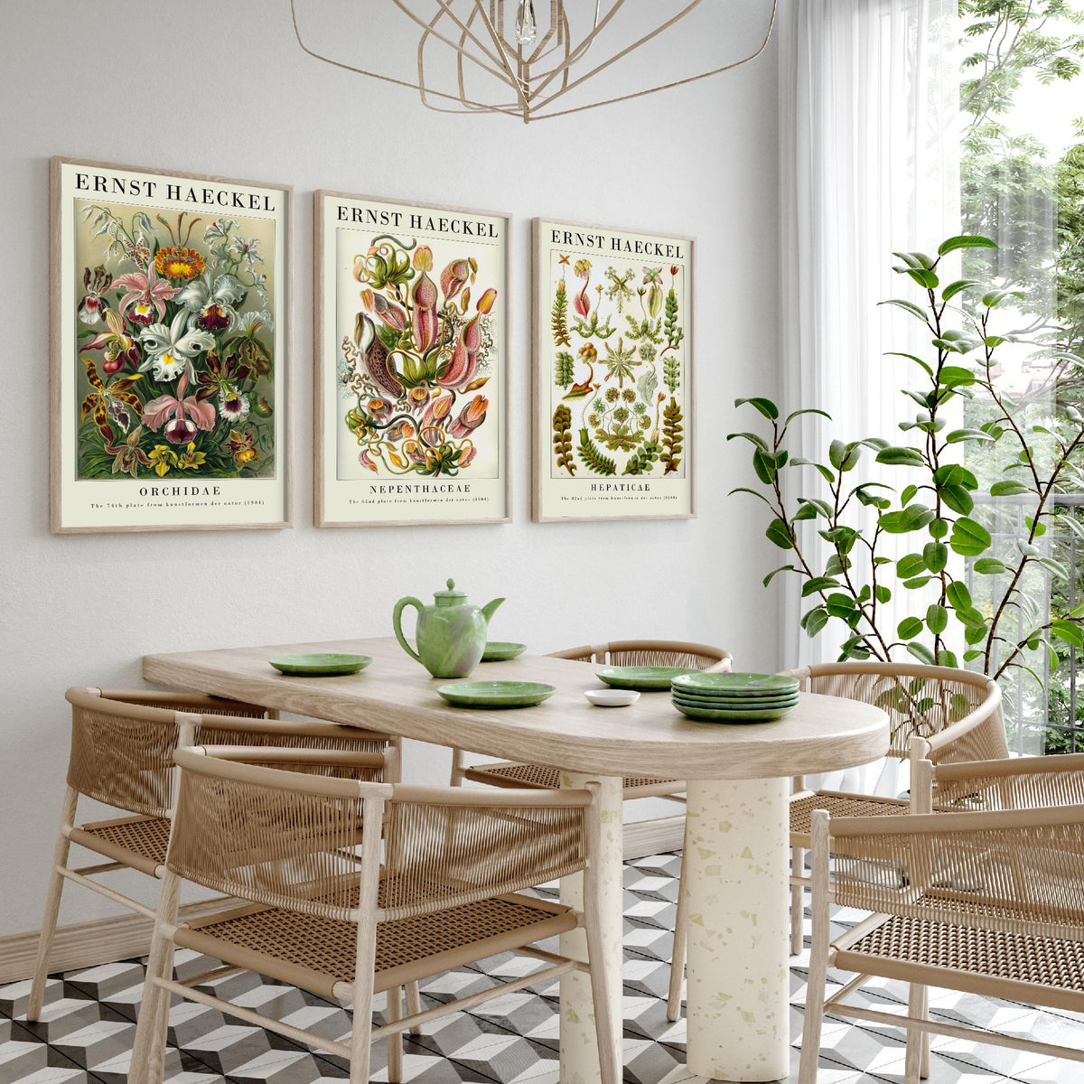 Ernst Haeckel Set of Three Gallery Art Prints - 3 Orchid Pitcher Plant Liverwort Posters - Vintage Botanical Flower Illustration