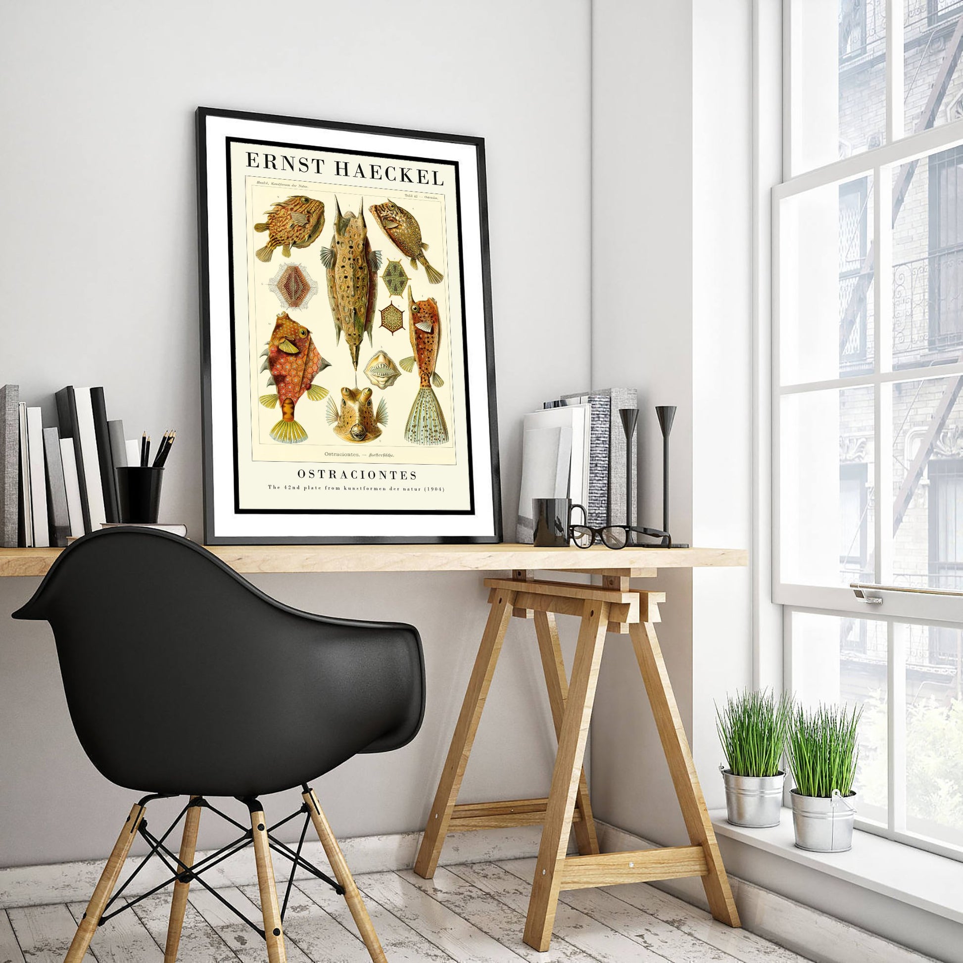Boxfish Art Print - Ernst Haeckel Poster - Ostraciontes Plate 42 - Art Forms in Nature Vintage Illustration
