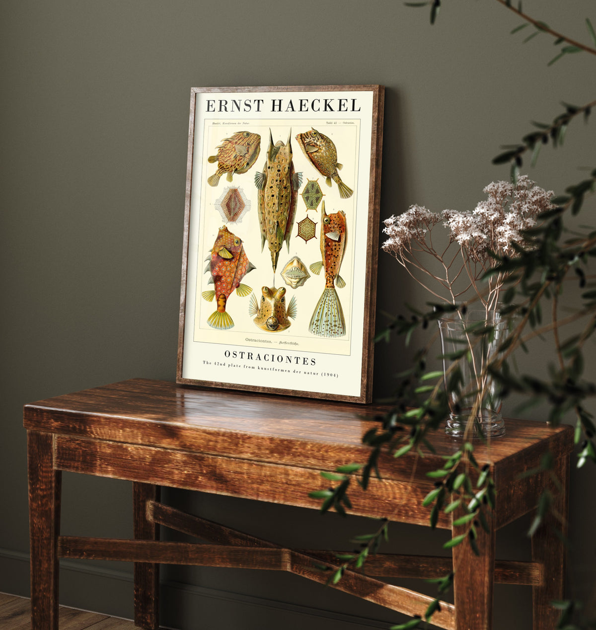 Boxfish Art Print - Ernst Haeckel Poster - Ostraciontes Plate 42 - Art Forms in Nature Vintage Illustration