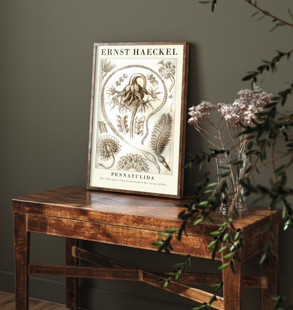 Sea Pens Art Print - Ernst Haeckel Poster - Pennatulida Plate 19 - Art Forms in Nature Vintage Illustration