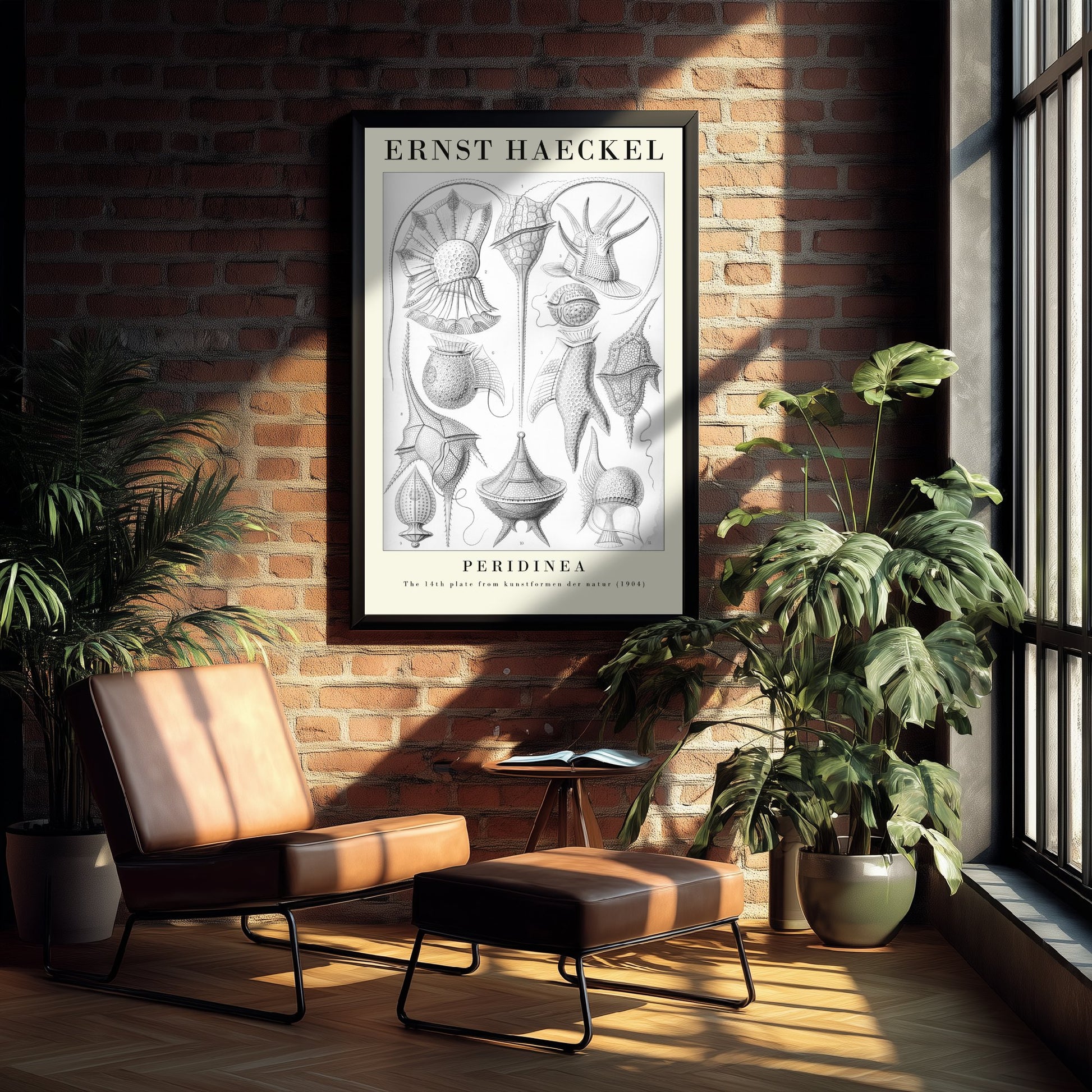 Plankton Art Print - Ernst Haeckel Poster - Peridinea Plate 14 - Art Forms in Nature Vintage Illustration
