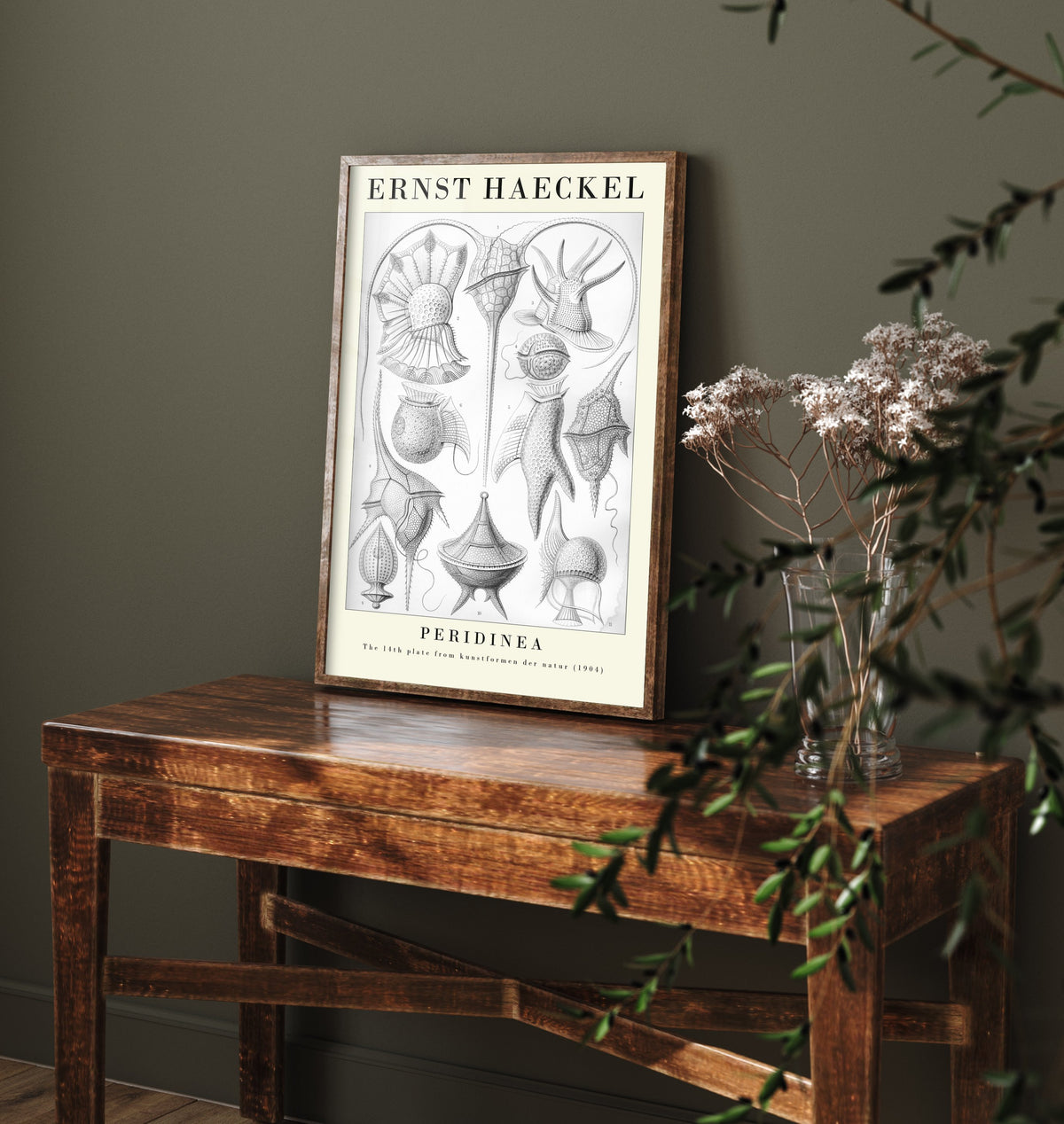 Plankton Art Print - Ernst Haeckel Poster - Peridinea Plate 14 - Art Forms in Nature Vintage Illustration