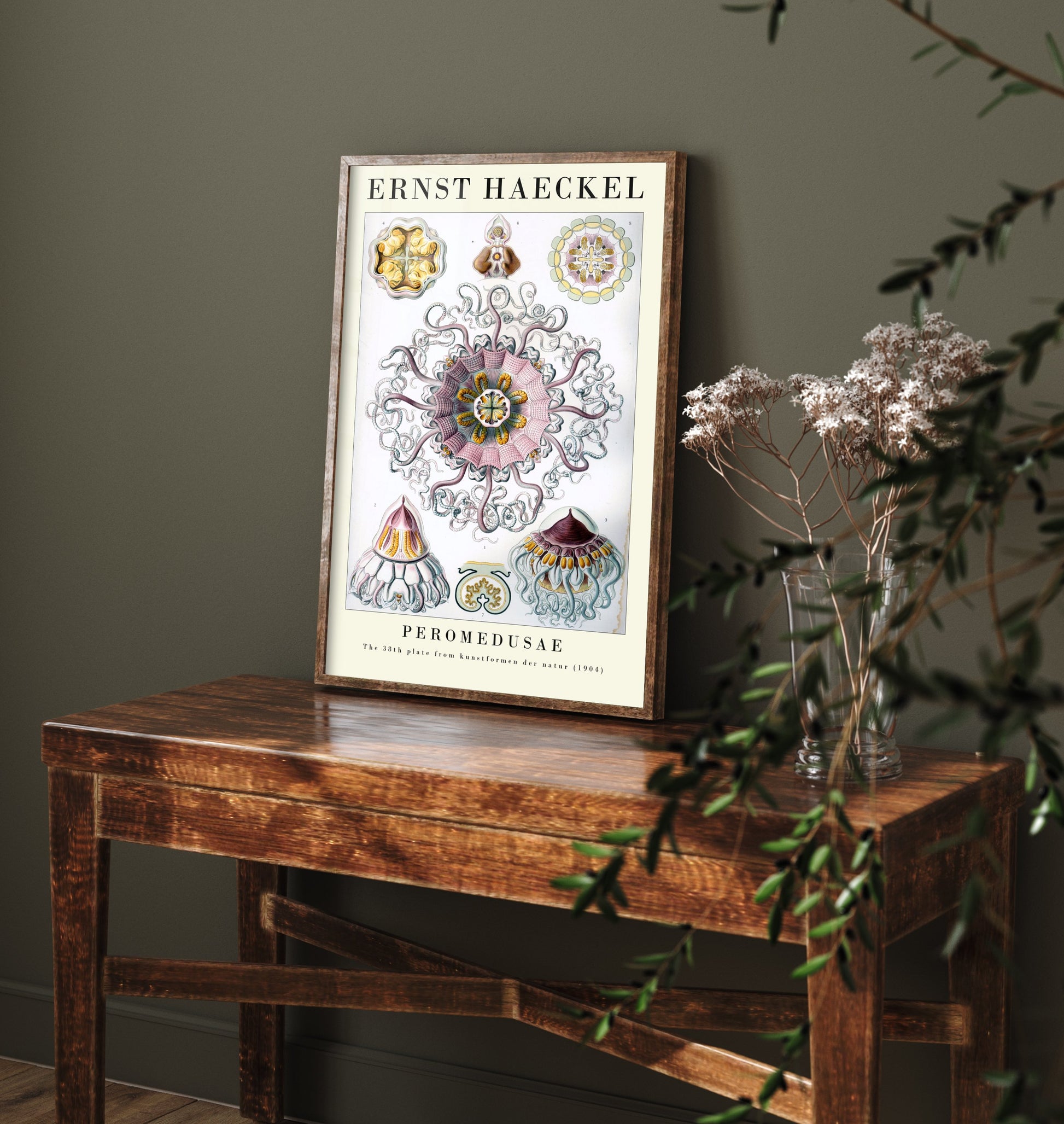 Jellyfish Art Print - Ernst Haeckel Poster - Peromedusae Plate 38 - Art Forms in Nature Vintage Illustration