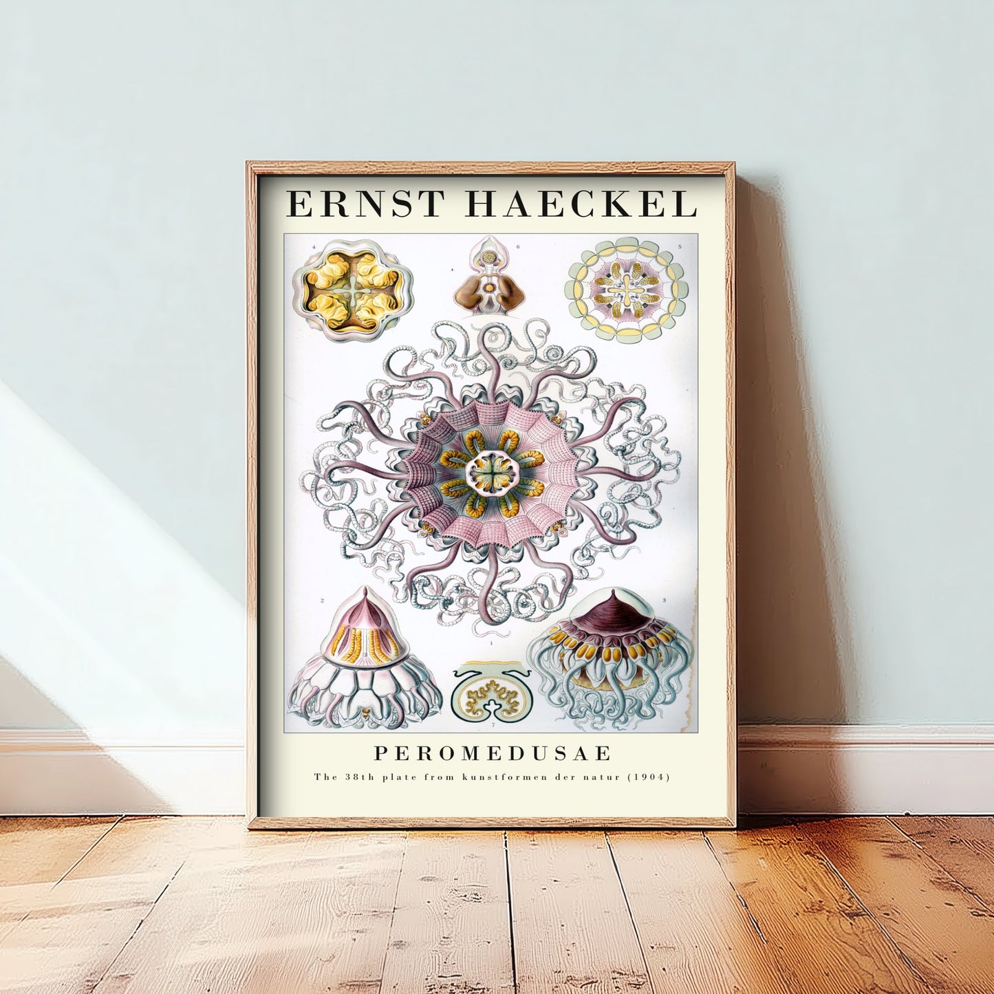 Jellyfish Art Print - Ernst Haeckel Poster - Peromedusae Plate 38 - Art Forms in Nature Vintage Illustration