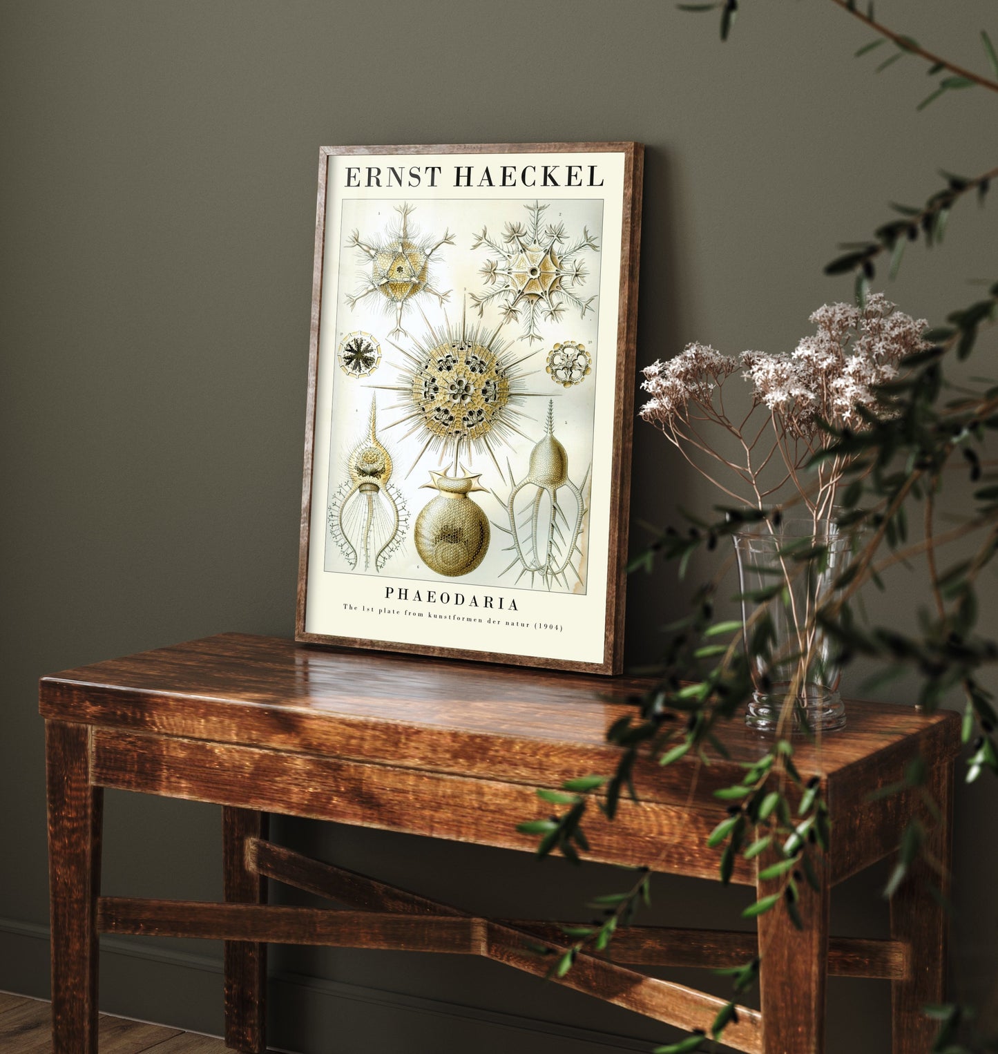 Radiolarians Art Print - Ernst Haeckel Poster - Phaeodaria Plate 1 - Art Forms in Nature Vintage Illustration