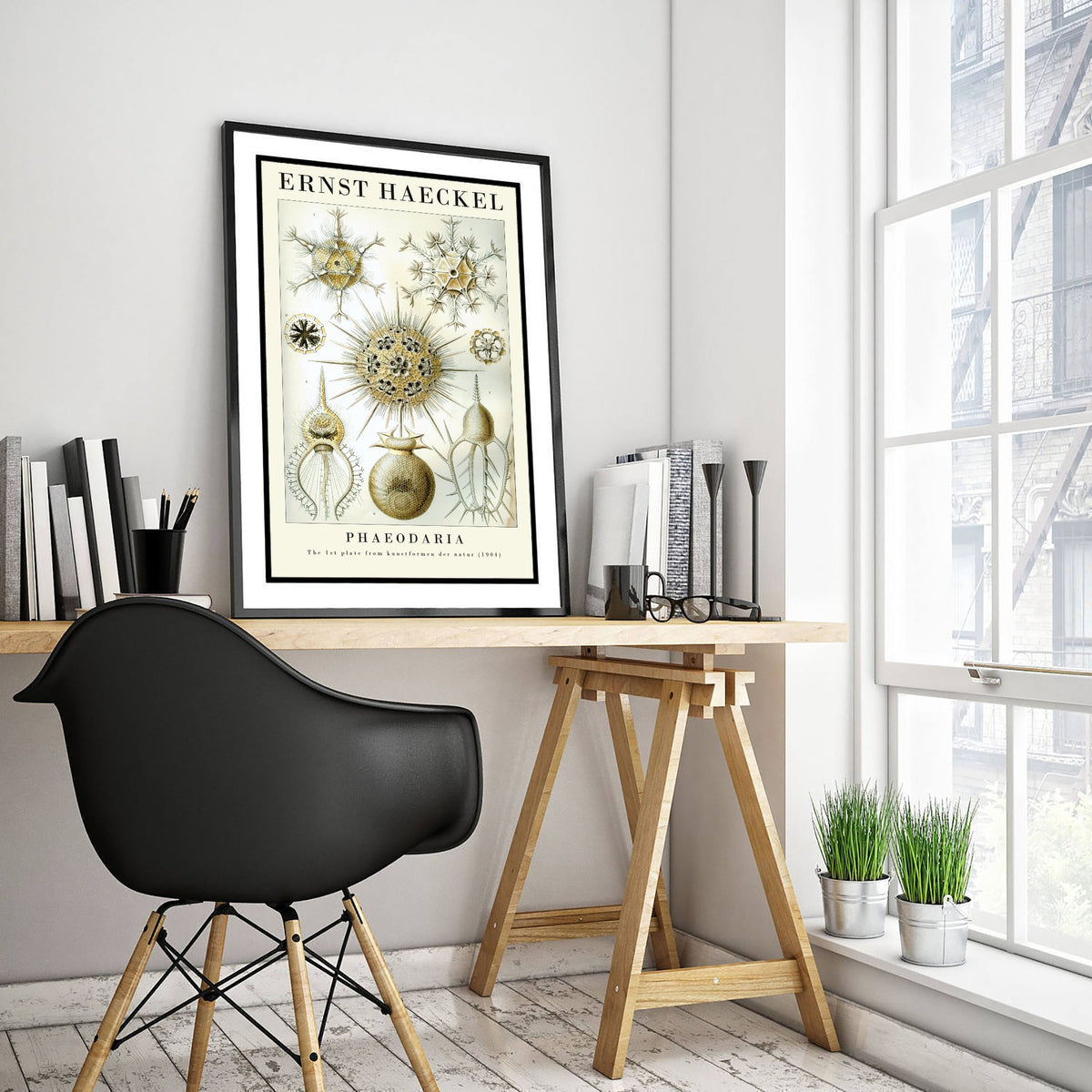 Radiolarians Art Print - Ernst Haeckel Poster - Phaeodaria Plate 1 - Art Forms in Nature Vintage Illustration