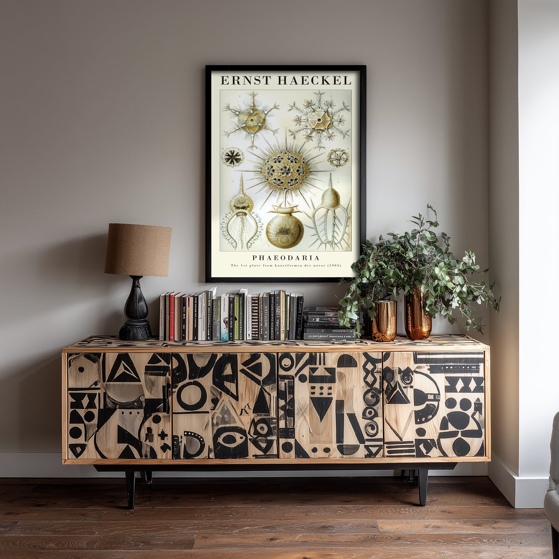 Radiolarians Art Print - Ernst Haeckel Poster - Phaeodaria Plate 1 - Art Forms in Nature Vintage Illustration