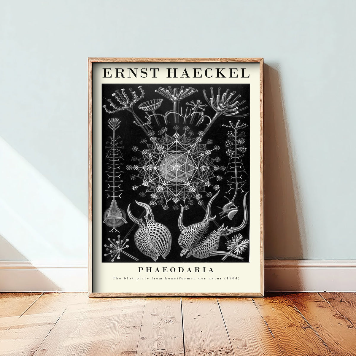 Plankton Art Print - Ernst Haeckel Poster - Phaeodaria Plate 61 - Art Forms in Nature Vintage Illustration