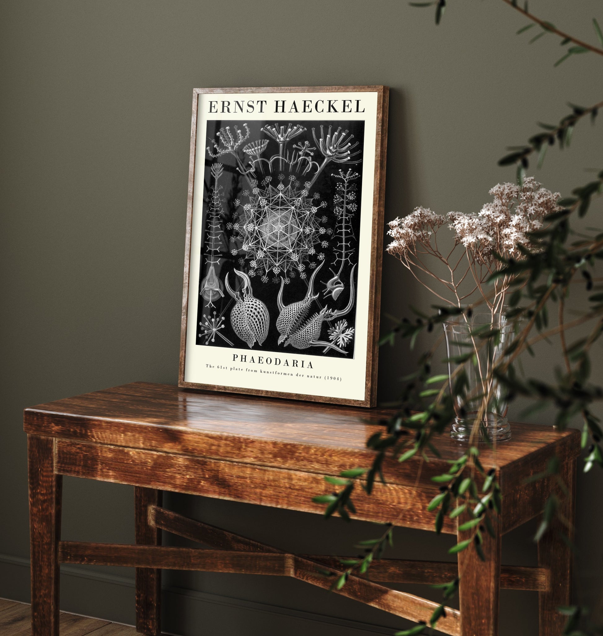 Plankton Art Print - Ernst Haeckel Poster - Phaeodaria Plate 61 - Art Forms in Nature Vintage Illustration