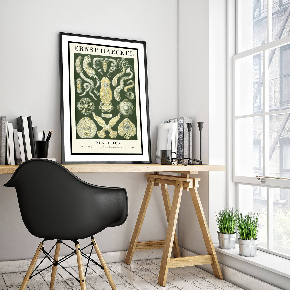 Flatworms Art Print - Ernst Haeckel Poster - Platodes Plate 75 - Art Forms in Nature Vintage Illustration