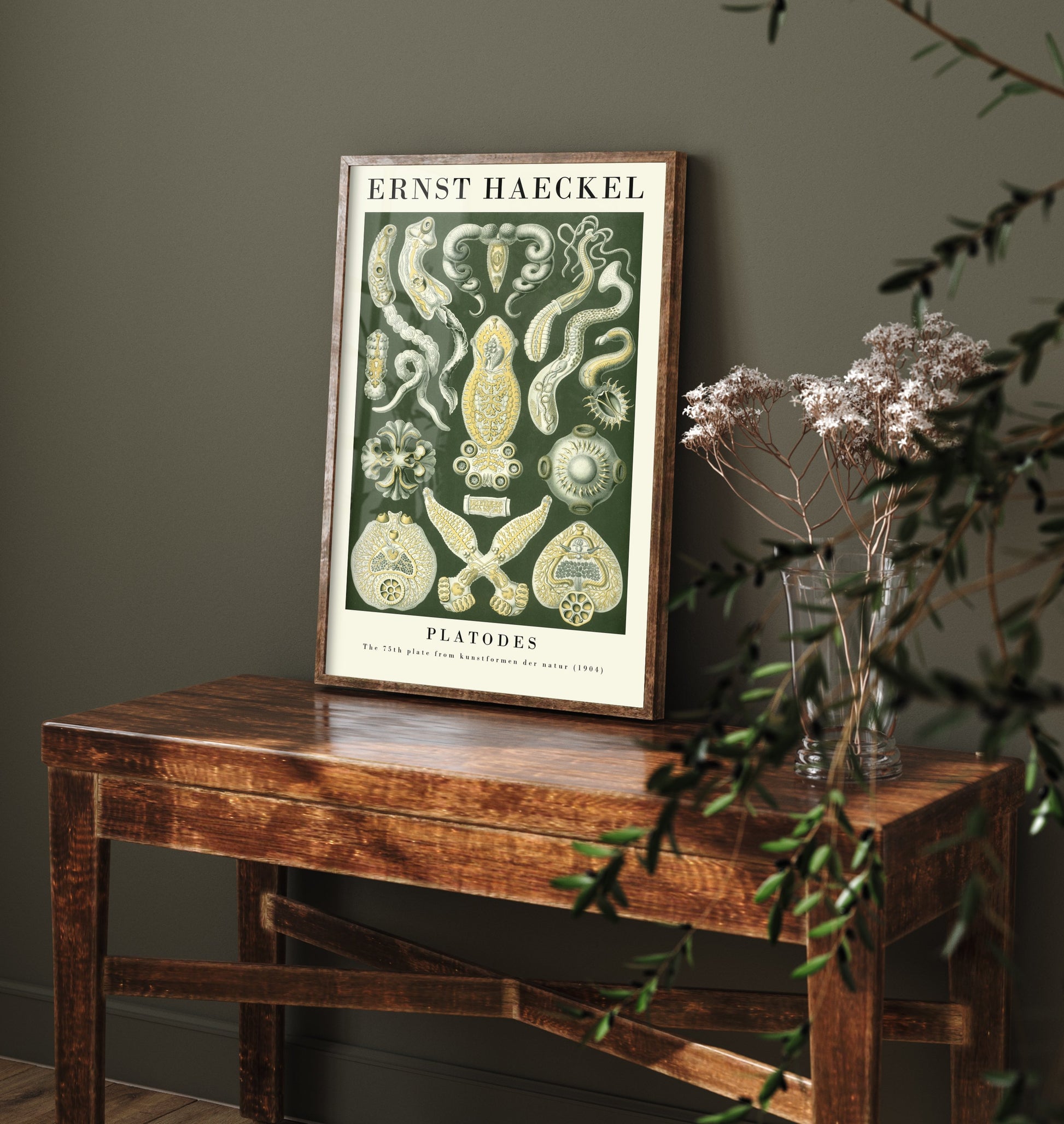 Flatworms Art Print - Ernst Haeckel Poster - Platodes Plate 75 - Art Forms in Nature Vintage Illustration