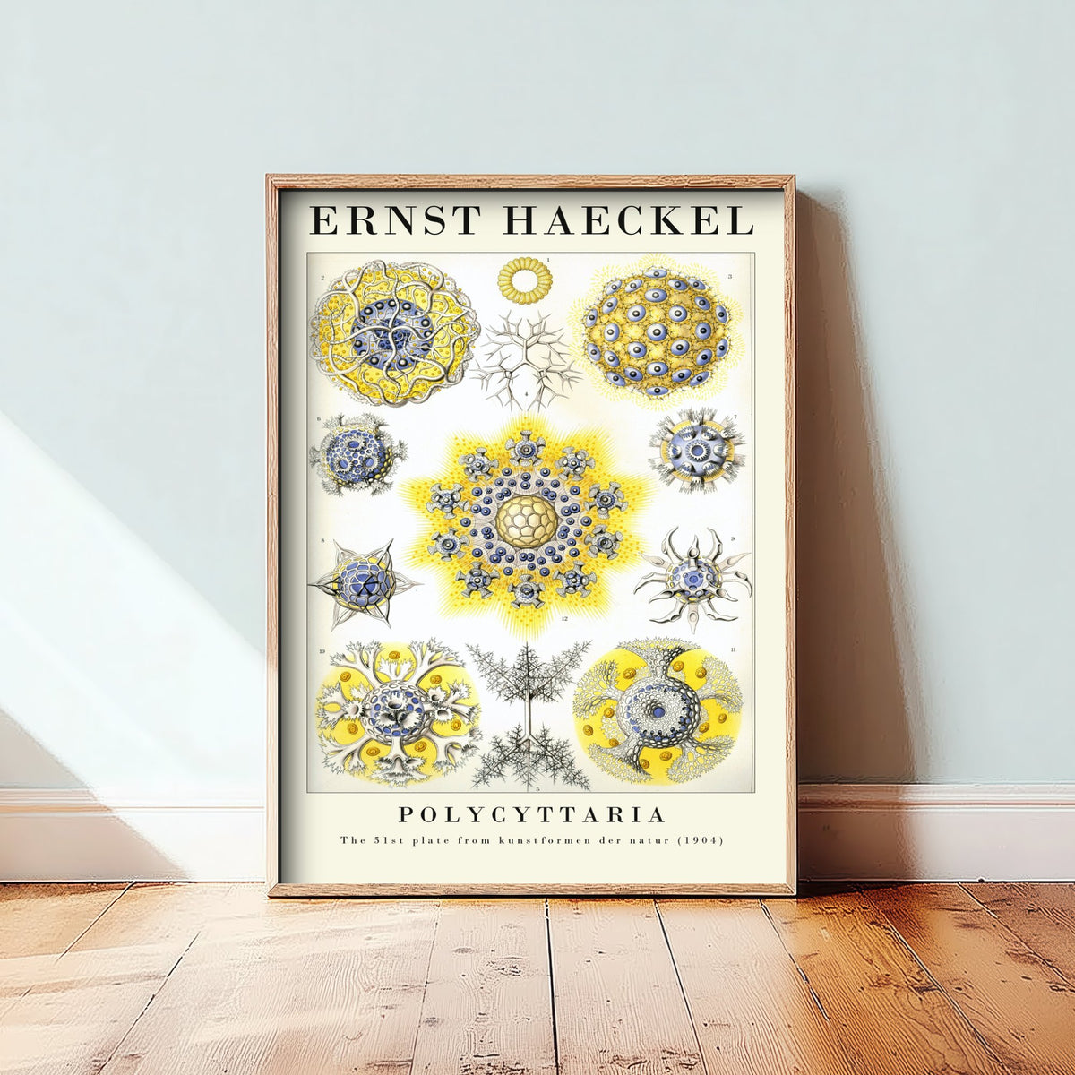 Radiolarians Art Print - Ernst Haeckel Poster - Polycyttaria Plate 51 - Art Forms in Nature Vintage Illustration