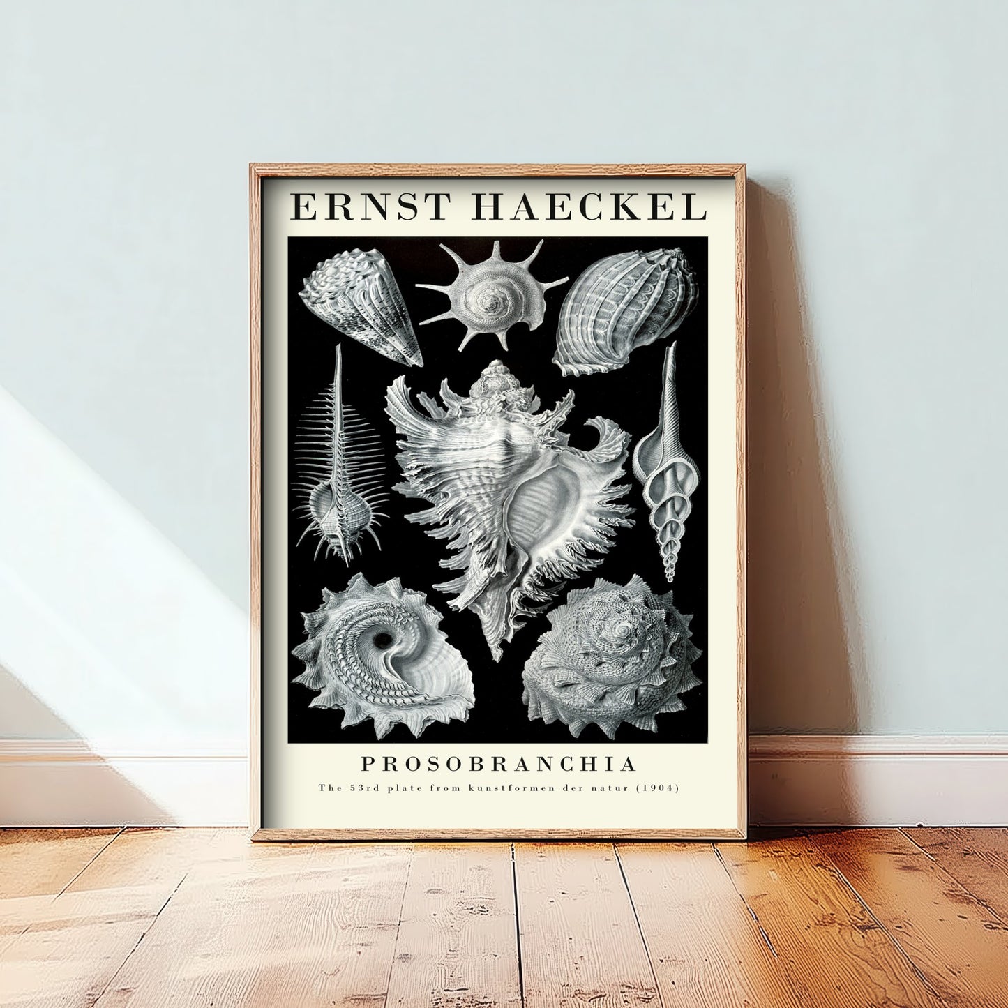 Sea Snails Art Print - Ernst Haeckel Poster - Prosobranchia Plate 53 - Art Forms in Nature Vintage Illustration
