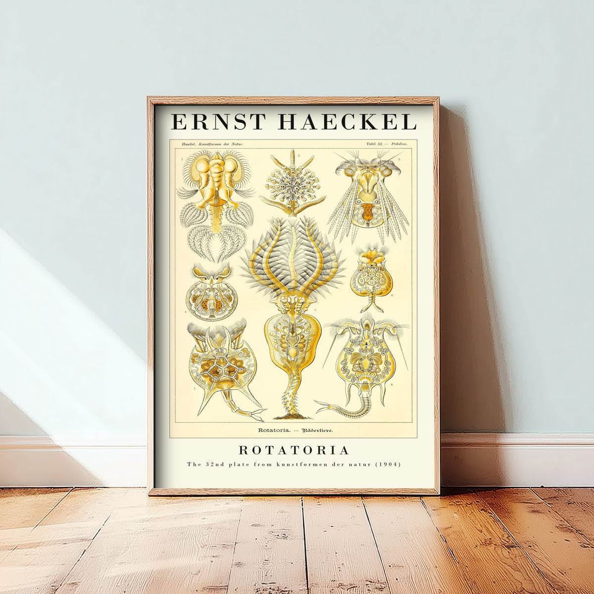 Rotifers Art Print - Ernst Haeckel Poster - Rotatoria Plate 32 - Art Forms in Nature Vintage Illustration