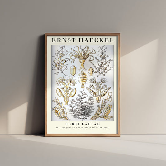 Hydroids Art Print - Ernst Haeckel Poster - Sertulariae Plate 25 - Art Forms in Nature Vintage Illustration