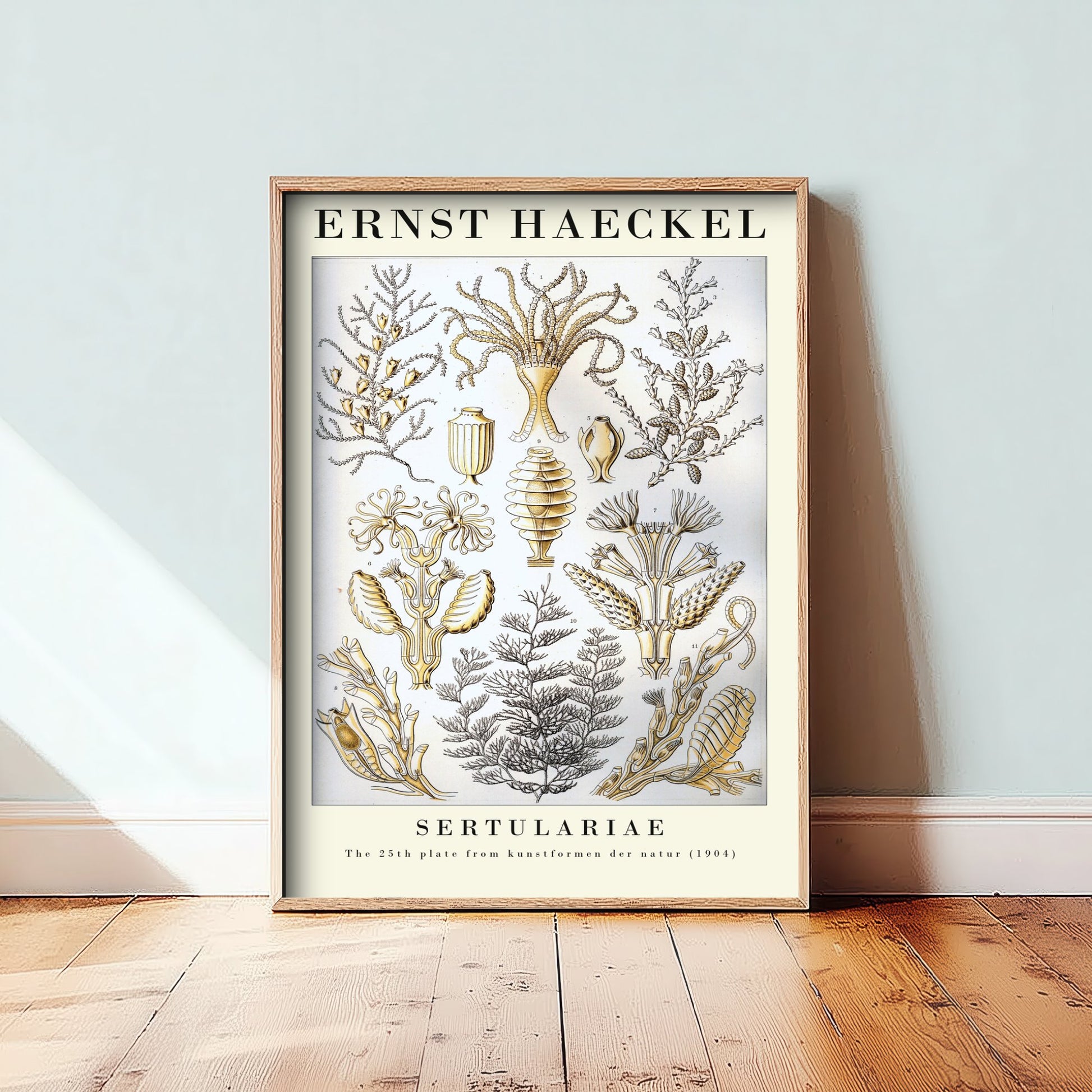 Hydroids Art Print - Ernst Haeckel Poster - Sertulariae Plate 25 - Art Forms in Nature Vintage Illustration