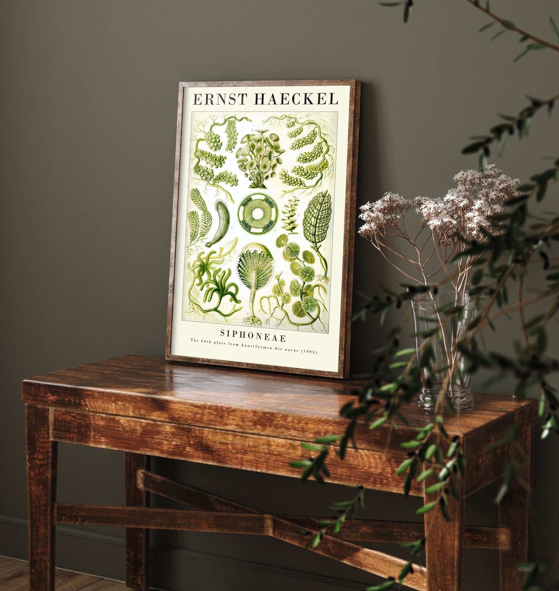 Green Algae Art Print - Ernst Haeckel Poster - Siphoneae Plate 64 - Art Forms in Nature Vintage Illustration