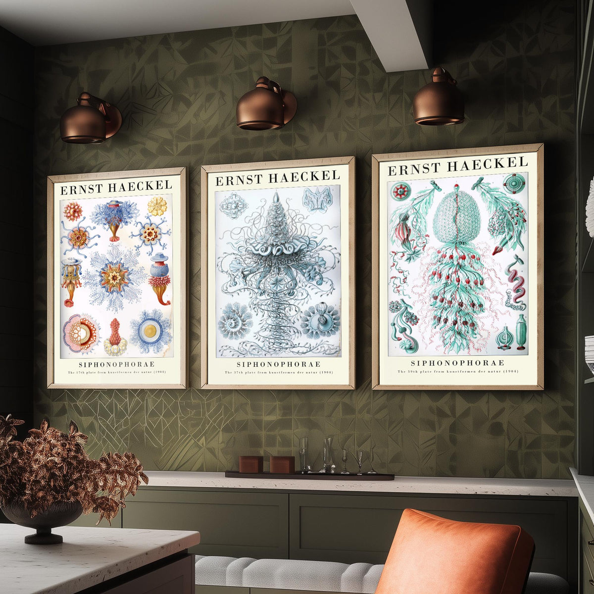 Ernst Haeckel Set of Three Gallery Art Prints - 3 Siphonophore Jellyfish Posters - Vintage Colonial Jelly Ocean Illustration