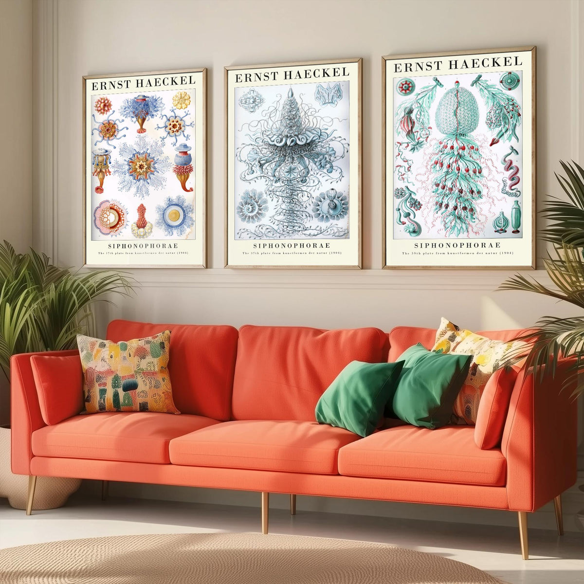 Ernst Haeckel Set of Three Gallery Art Prints - 3 Siphonophore Jellyfish Posters - Vintage Colonial Jelly Ocean Illustration