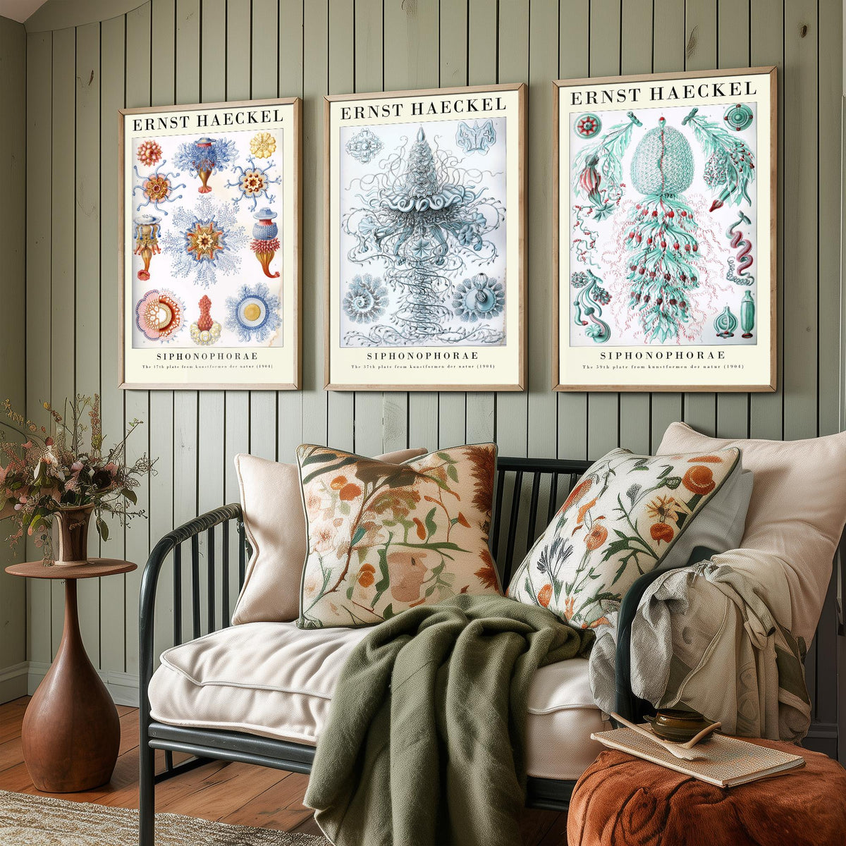 Ernst Haeckel Set of Three Gallery Art Prints - 3 Siphonophore Jellyfish Posters - Vintage Colonial Jelly Ocean Illustration