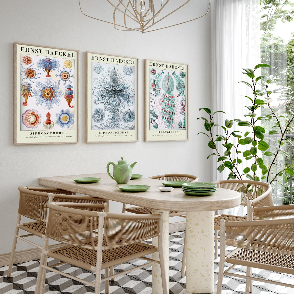 Ernst Haeckel Set of Three Gallery Art Prints - 3 Siphonophore Jellyfish Posters - Vintage Colonial Jelly Ocean Illustration