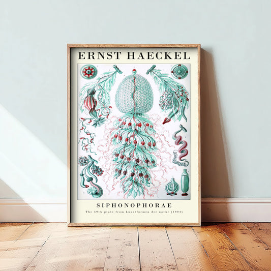 Siphonophores Art Print - Ernst Haeckel Poster - Coral Red Siphonophorae Plate 59 - Art Forms in Nature Vintage Illustration