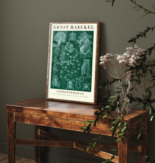 Siphonophores Art Print - Ernst Haeckel Poster - Green Siphonophorae Plate 77 - Art Forms in Nature Vintage Illustration