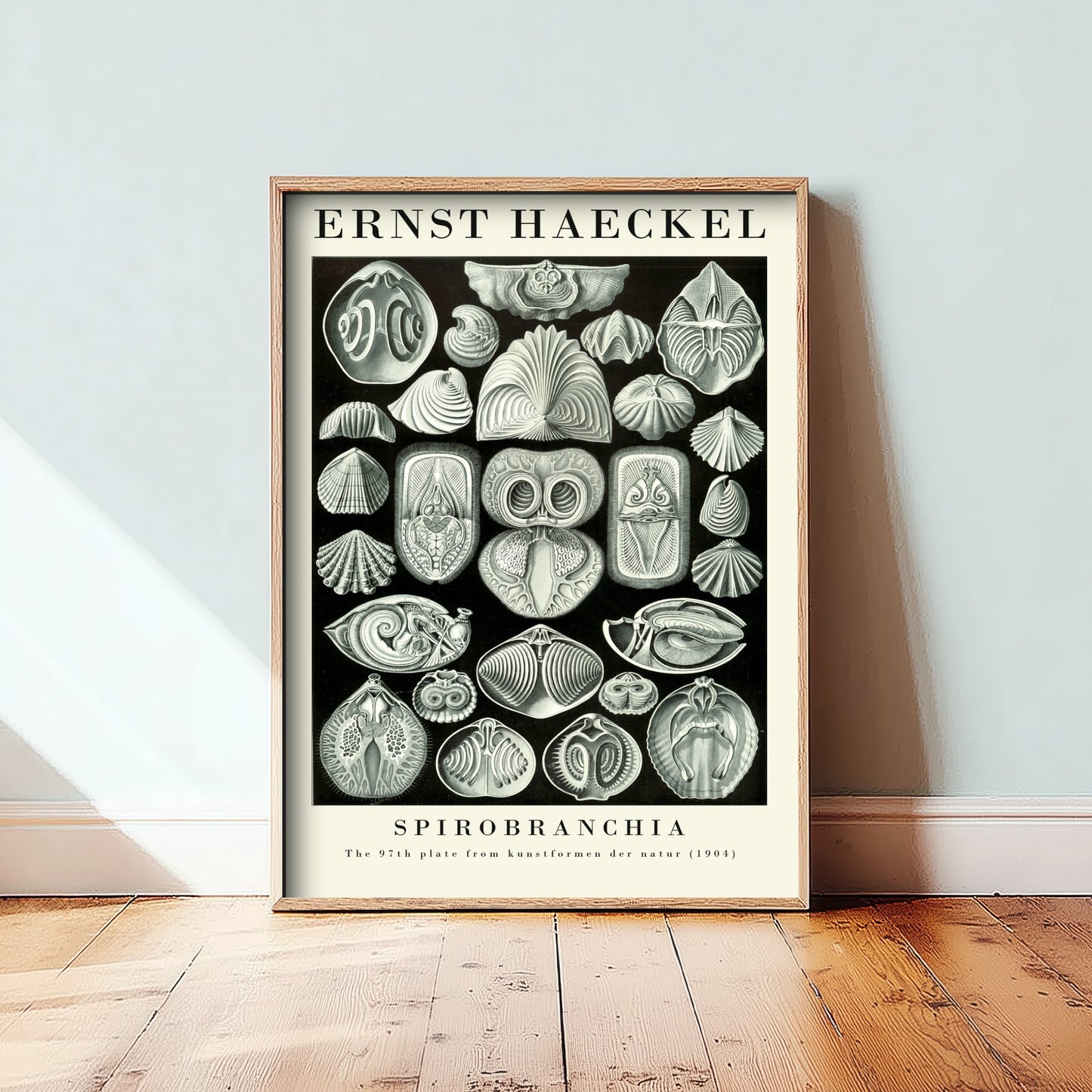 Fanworms Art Print - Ernst Haeckel Poster - Spirobranchia Plate 97 - Art Forms in Nature Vintage Illustration