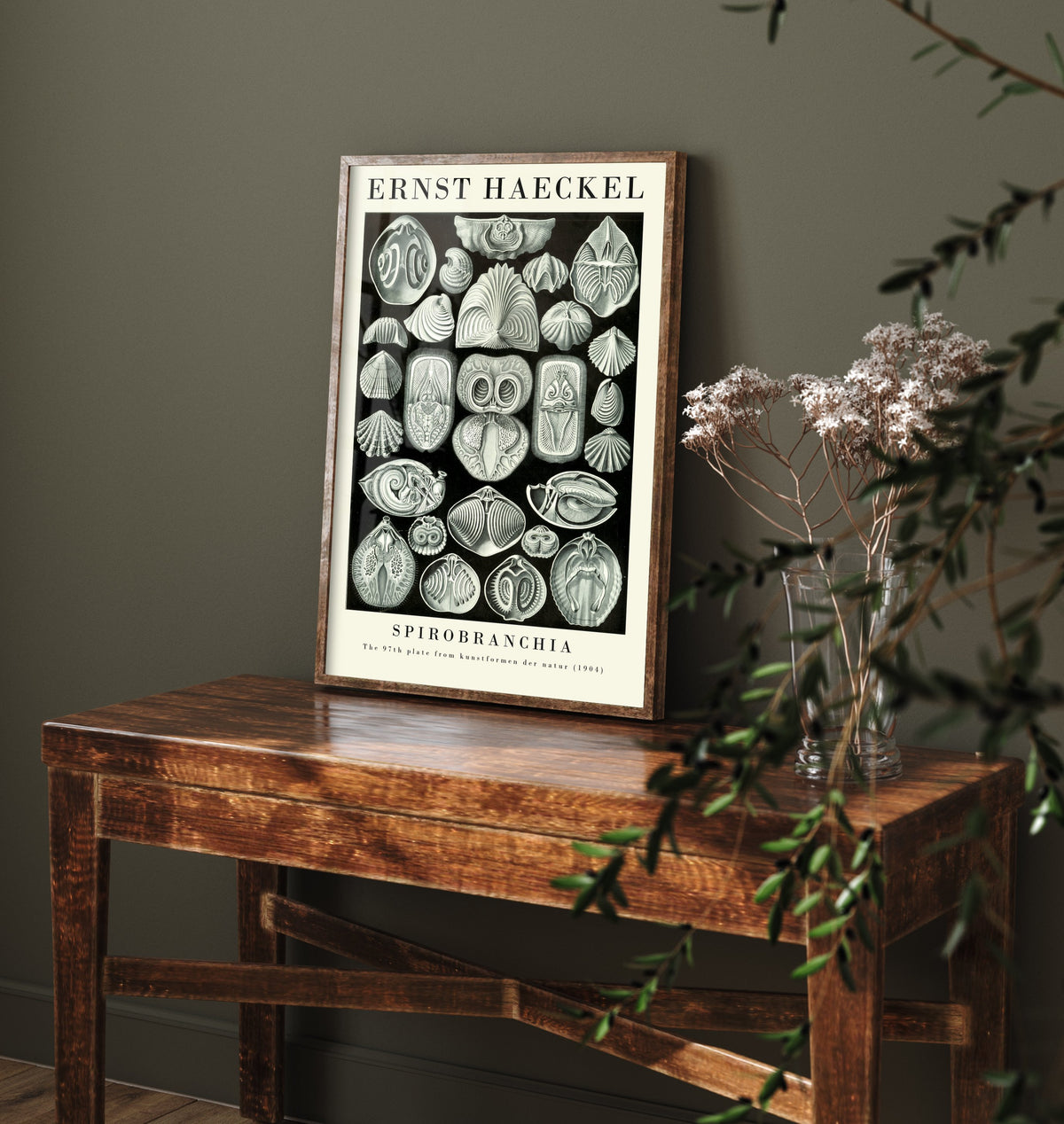 Fanworms Art Print - Ernst Haeckel Poster - Spirobranchia Plate 97 - Art Forms in Nature Vintage Illustration