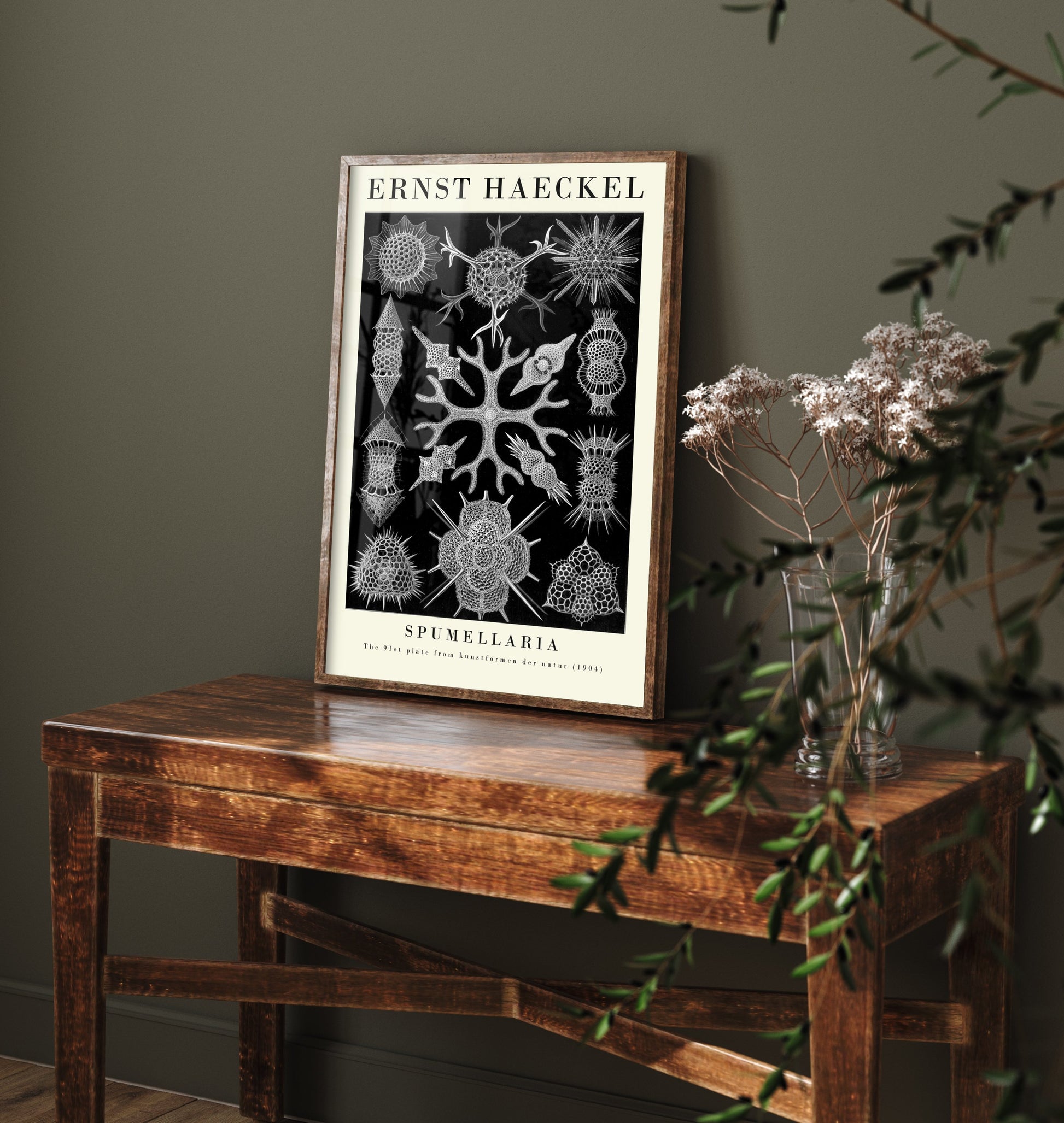 Radiolarians Art Print - Ernst Haeckel Poster - Spumellaria Plate 91 - Art Forms in Nature Vintage Illustration