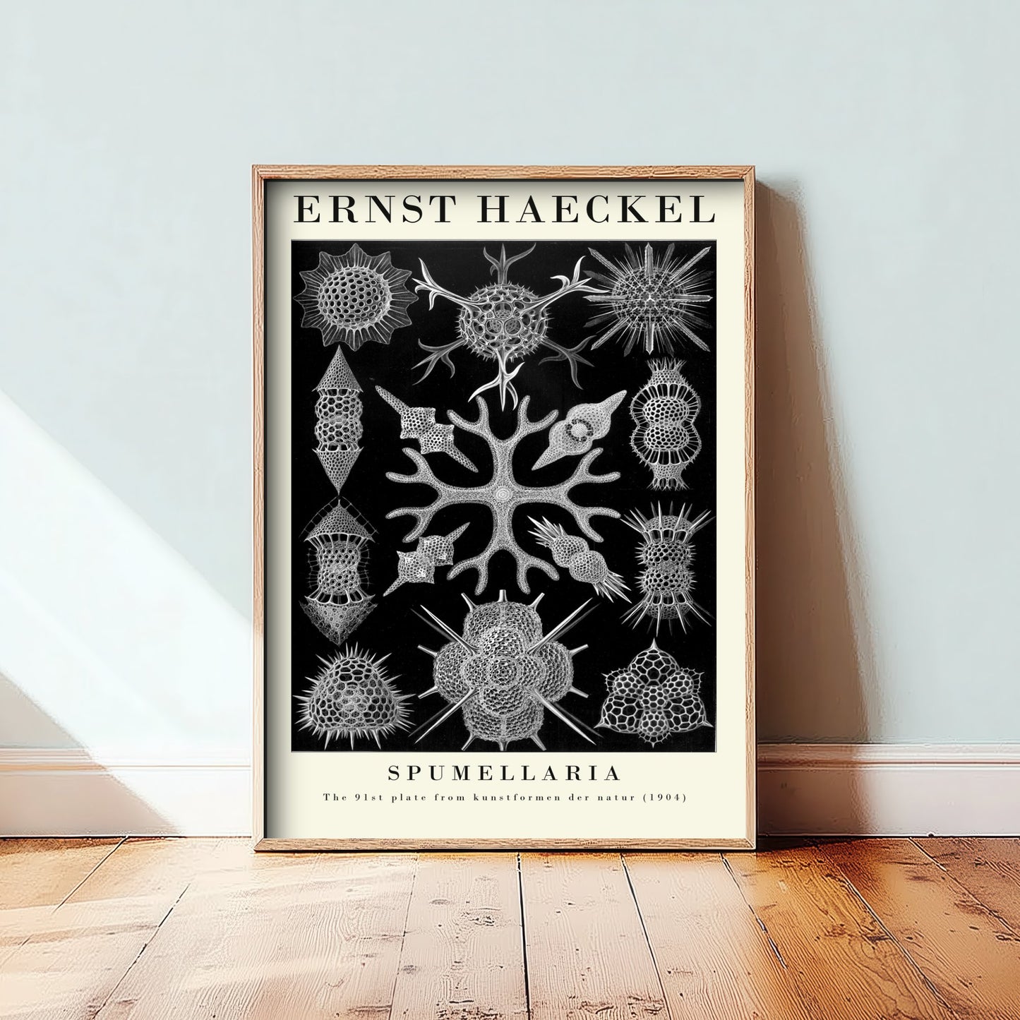 Radiolarians Art Print - Ernst Haeckel Poster - Spumellaria Plate 91 - Art Forms in Nature Vintage Illustration