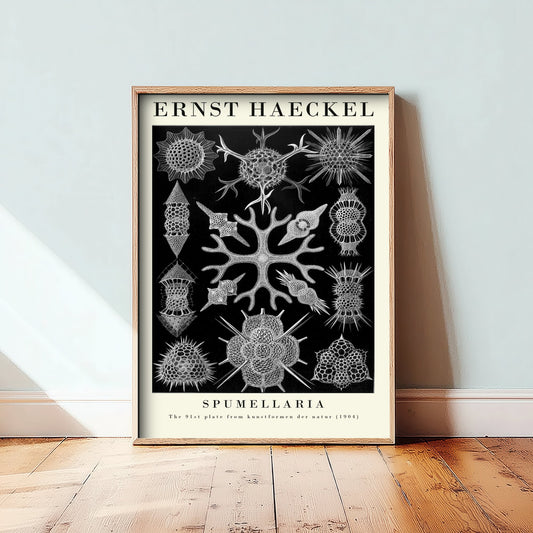 Radiolarians Art Print - Ernst Haeckel Poster - Spumellaria Plate 91 - Art Forms in Nature Vintage Illustration