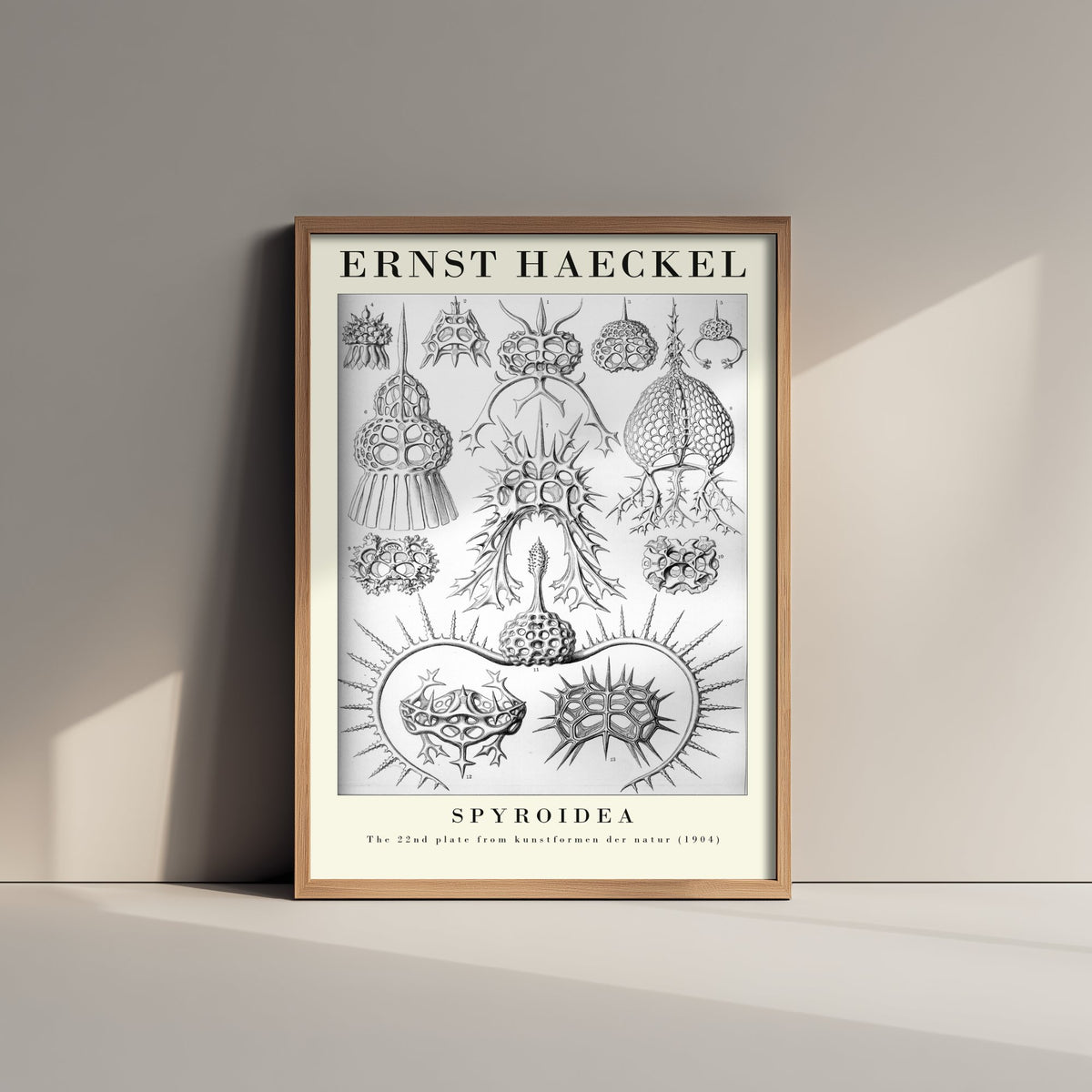 Radiolarians Art Print - Ernst Haeckel Poster - Spyroidea Plate 22 - Art Forms in Nature Vintage Illustration