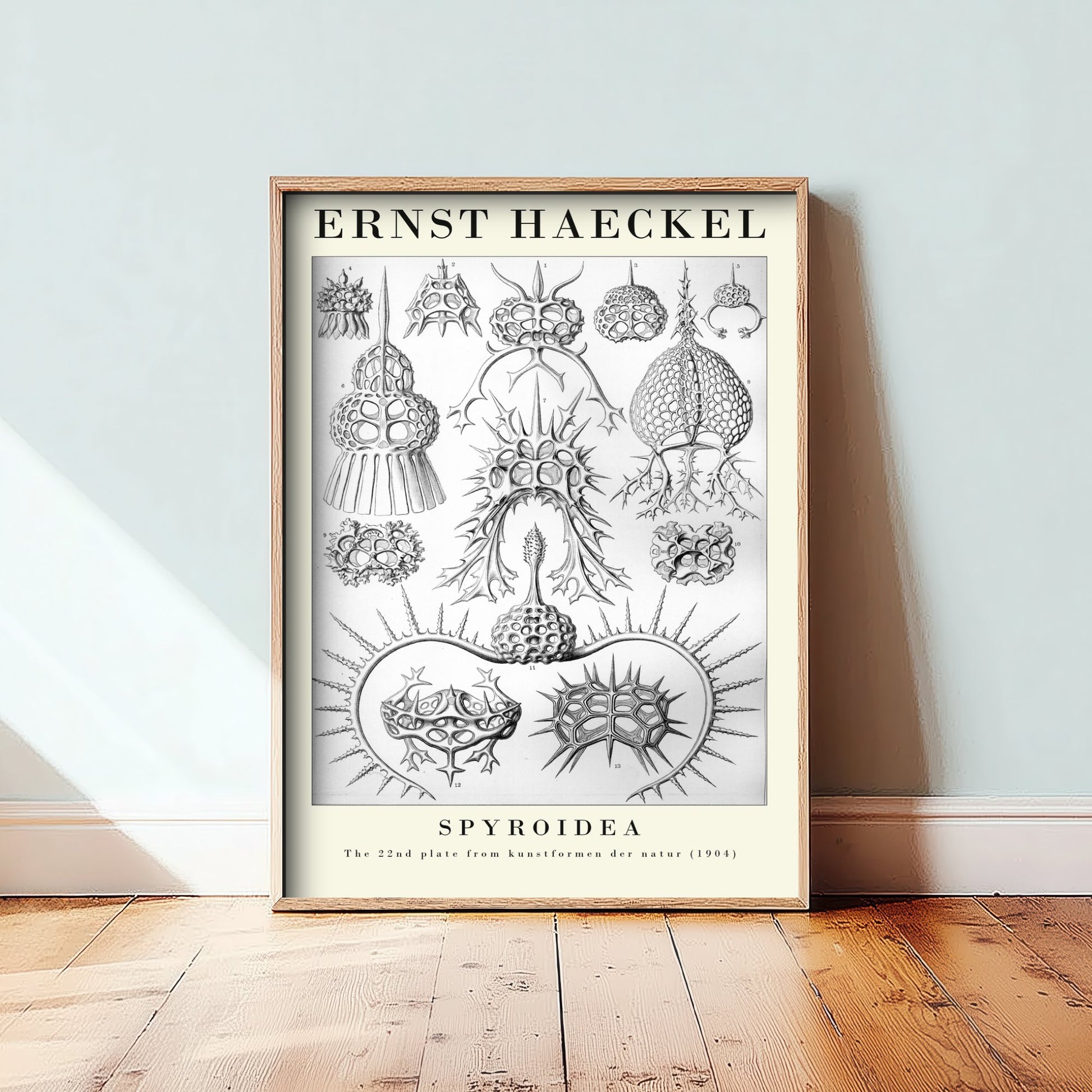 Radiolarians Art Print - Ernst Haeckel Poster - Spyroidea Plate 22 - Art Forms in Nature Vintage Illustration