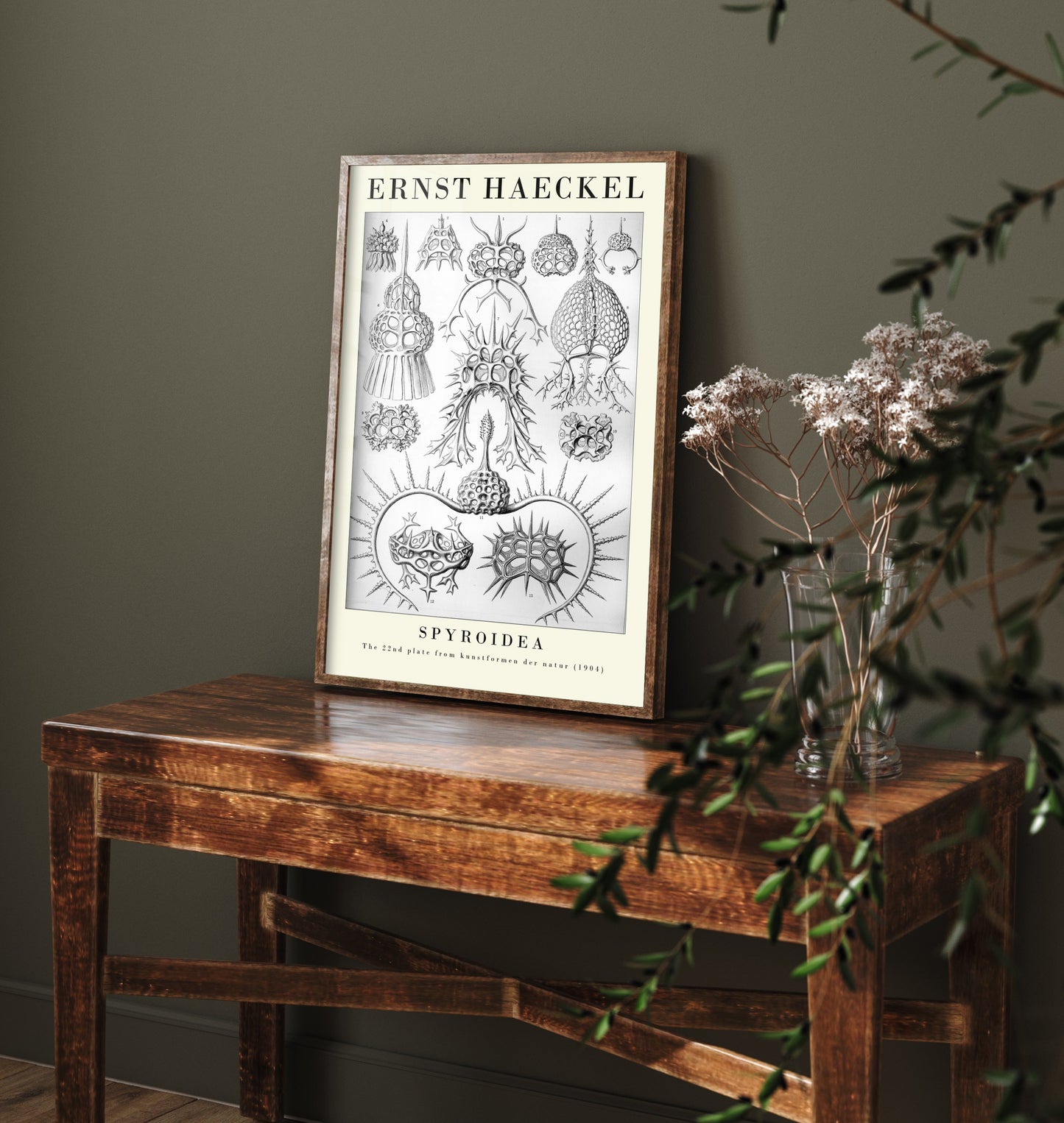 Radiolarians Art Print - Ernst Haeckel Poster - Spyroidea Plate 22 - Art Forms in Nature Vintage Illustration