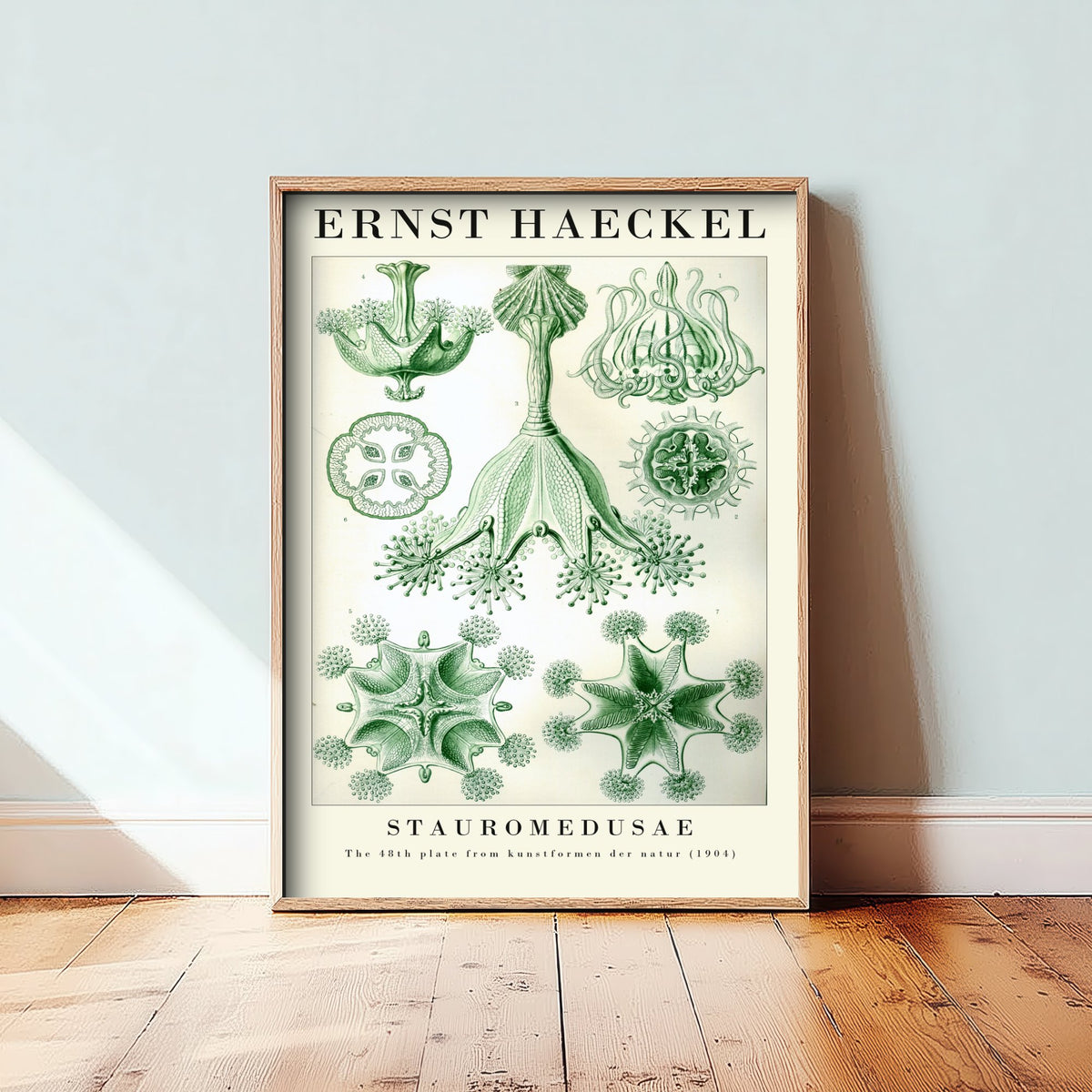 Stalked Jellyfish Art Print - Ernst Haeckel Poster - Stauromedusae Plate 48 - Art Forms in Nature Vintage Illustration