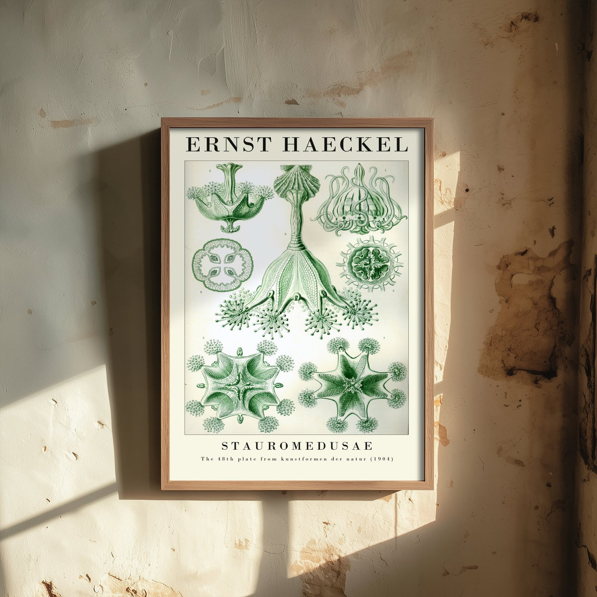 Stalked Jellyfish Art Print - Ernst Haeckel Poster - Stauromedusae Plate 48 - Art Forms in Nature Vintage Illustration