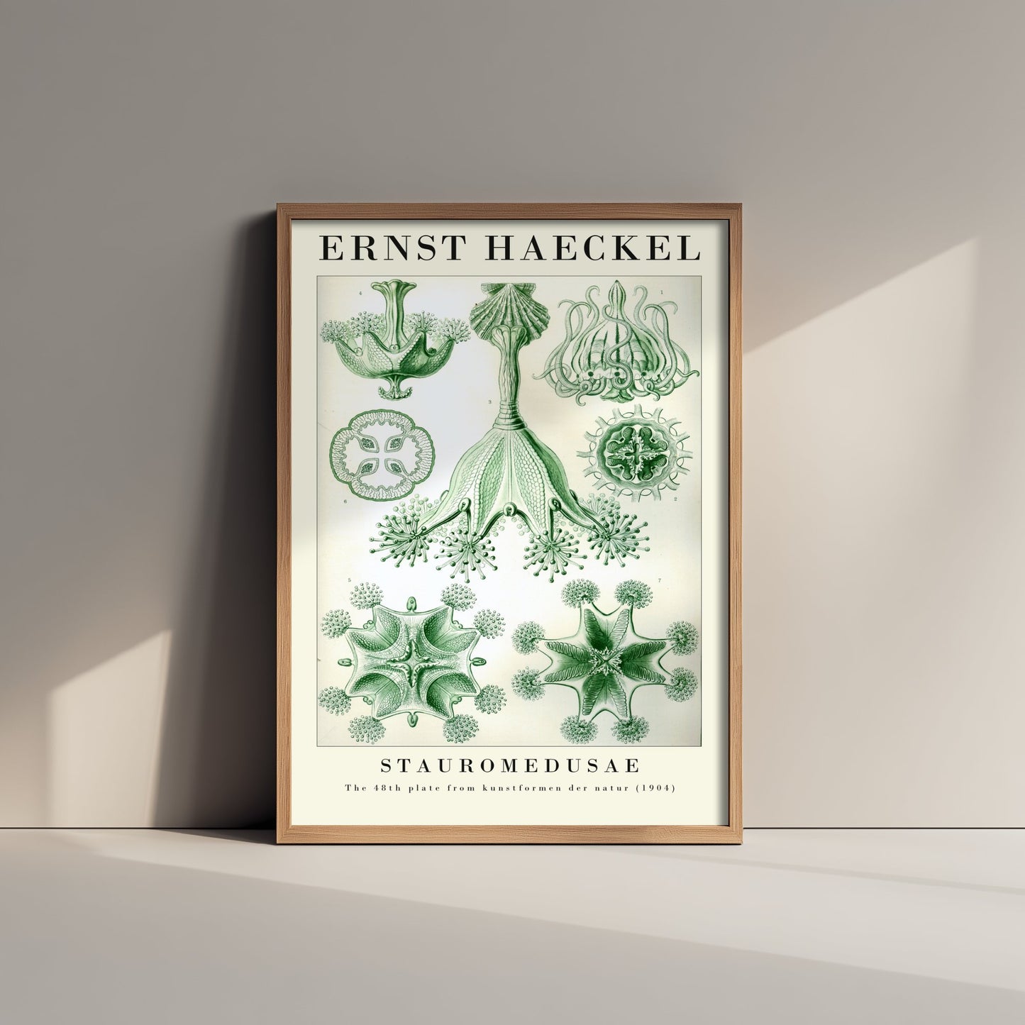 Stalked Jellyfish Art Print - Ernst Haeckel Poster - Stauromedusae Plate 48 - Art Forms in Nature Vintage Illustration