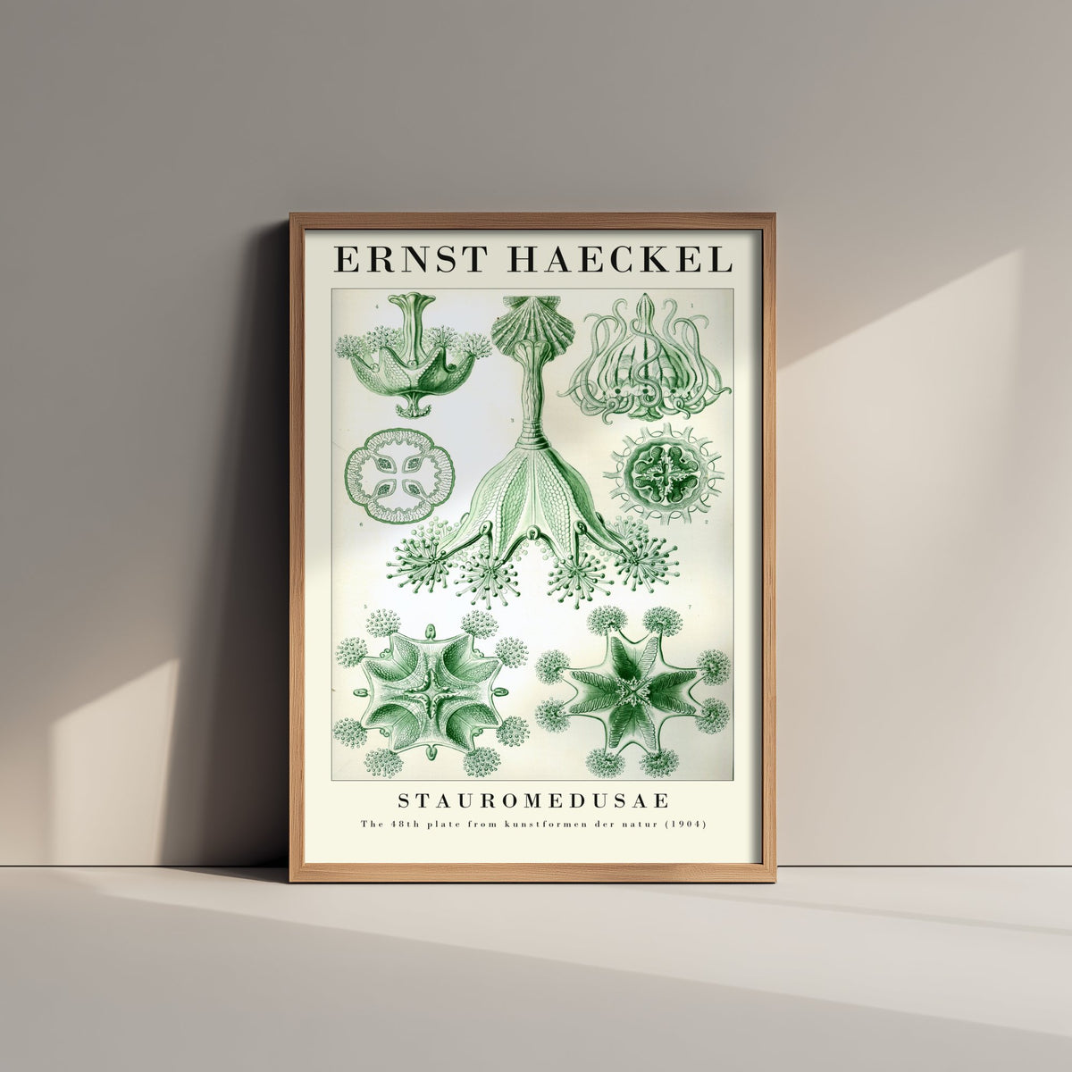 Stalked Jellyfish Art Print - Ernst Haeckel Poster - Stauromedusae Plate 48 - Art Forms in Nature Vintage Illustration