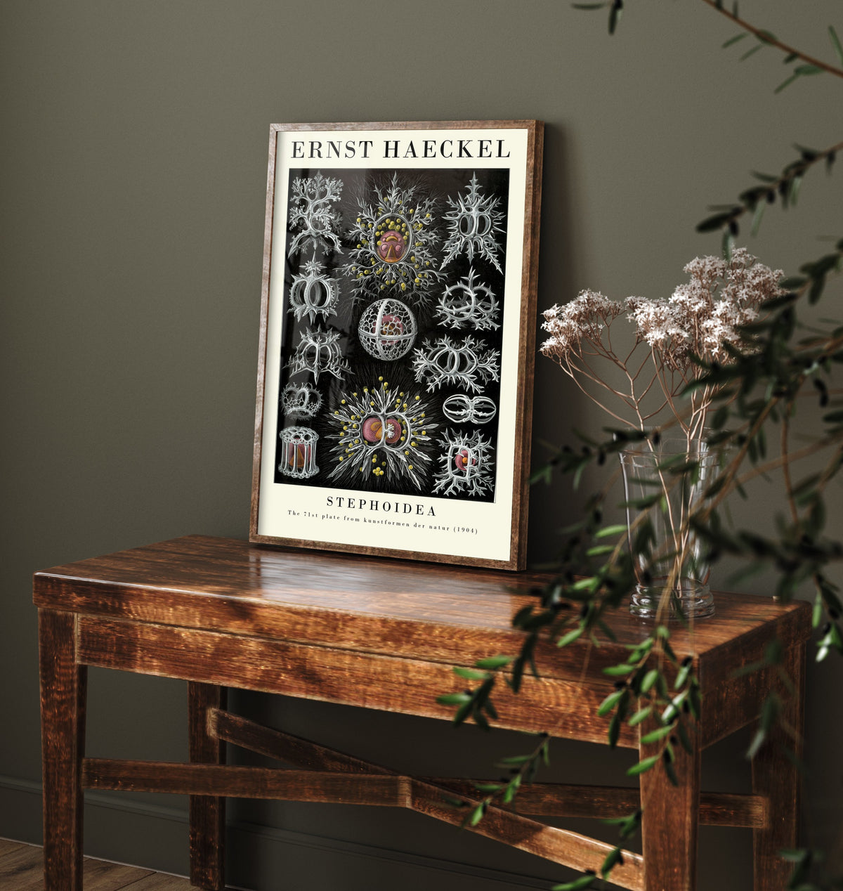 Radiolarians Art Print - Ernst Haeckel Poster - Stephoidea Plate 71 - Art Forms in Nature Vintage Illustration