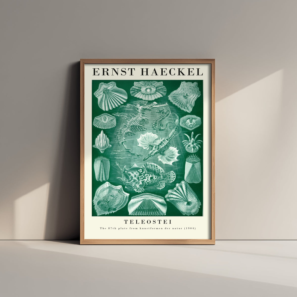 Bony Fish Art Print - Ernst Haeckel Poster - Teleostei Plate 87 - Art Forms in Nature Vintage Illustration