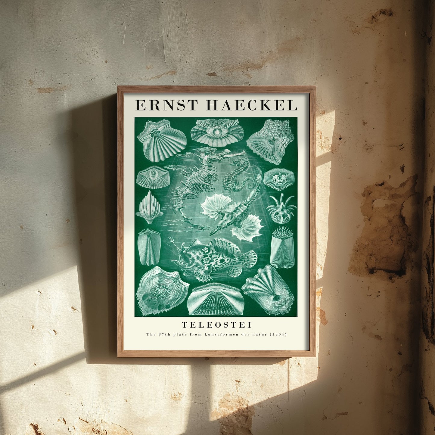 Bony Fish Art Print - Ernst Haeckel Poster - Teleostei Plate 87 - Art Forms in Nature Vintage Illustration