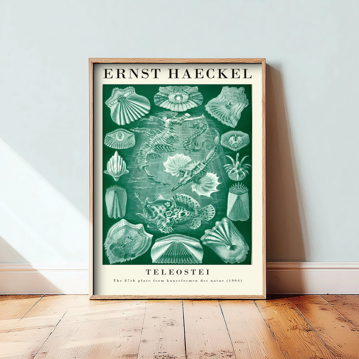 Bony Fish Art Print - Ernst Haeckel Poster - Teleostei Plate 87 - Art Forms in Nature Vintage Illustration