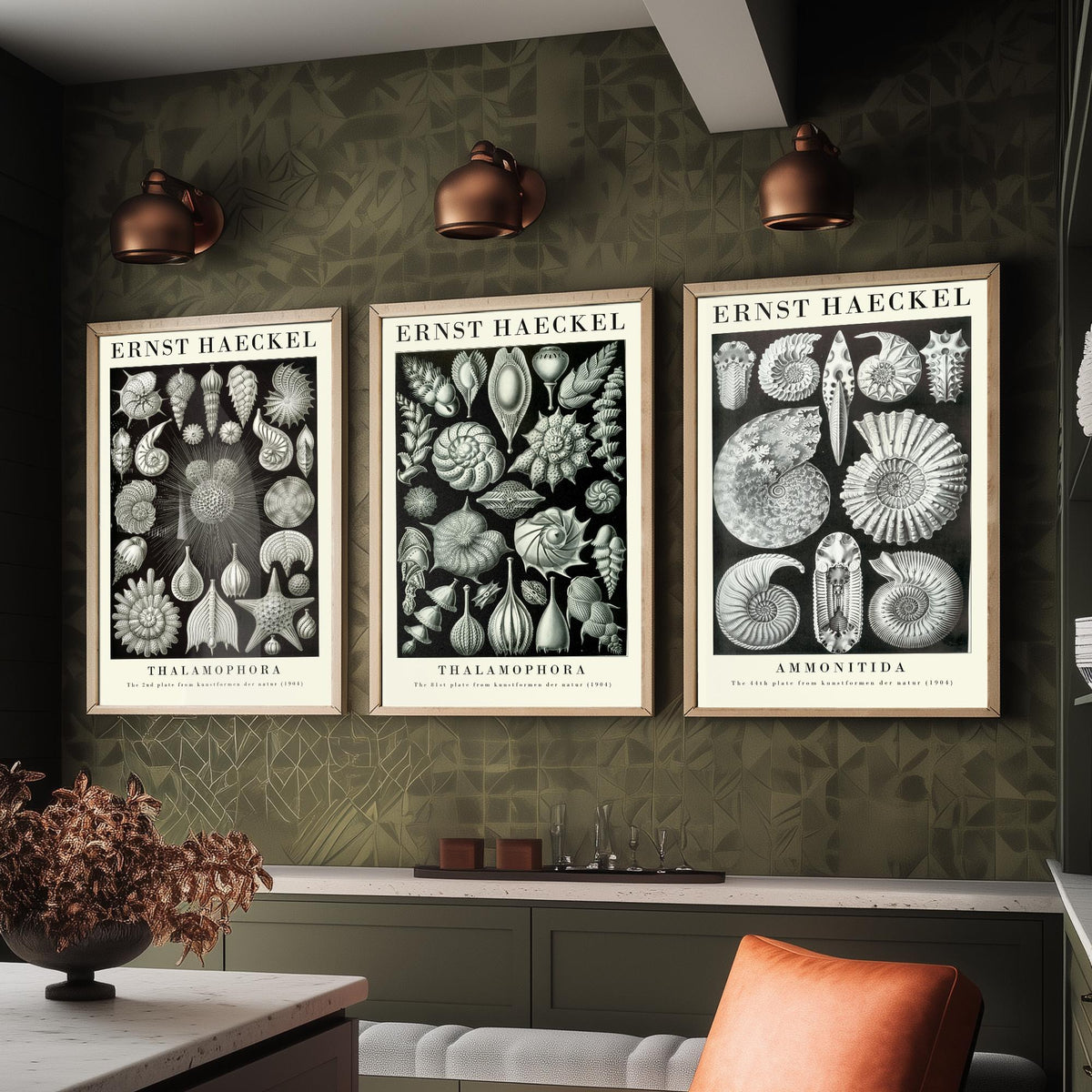 Ernst Haeckel Set of Three Gallery Art Prints - 3 Foraminifera Ammonite Shell Posters - Vintage Fossil Ocean Illustration