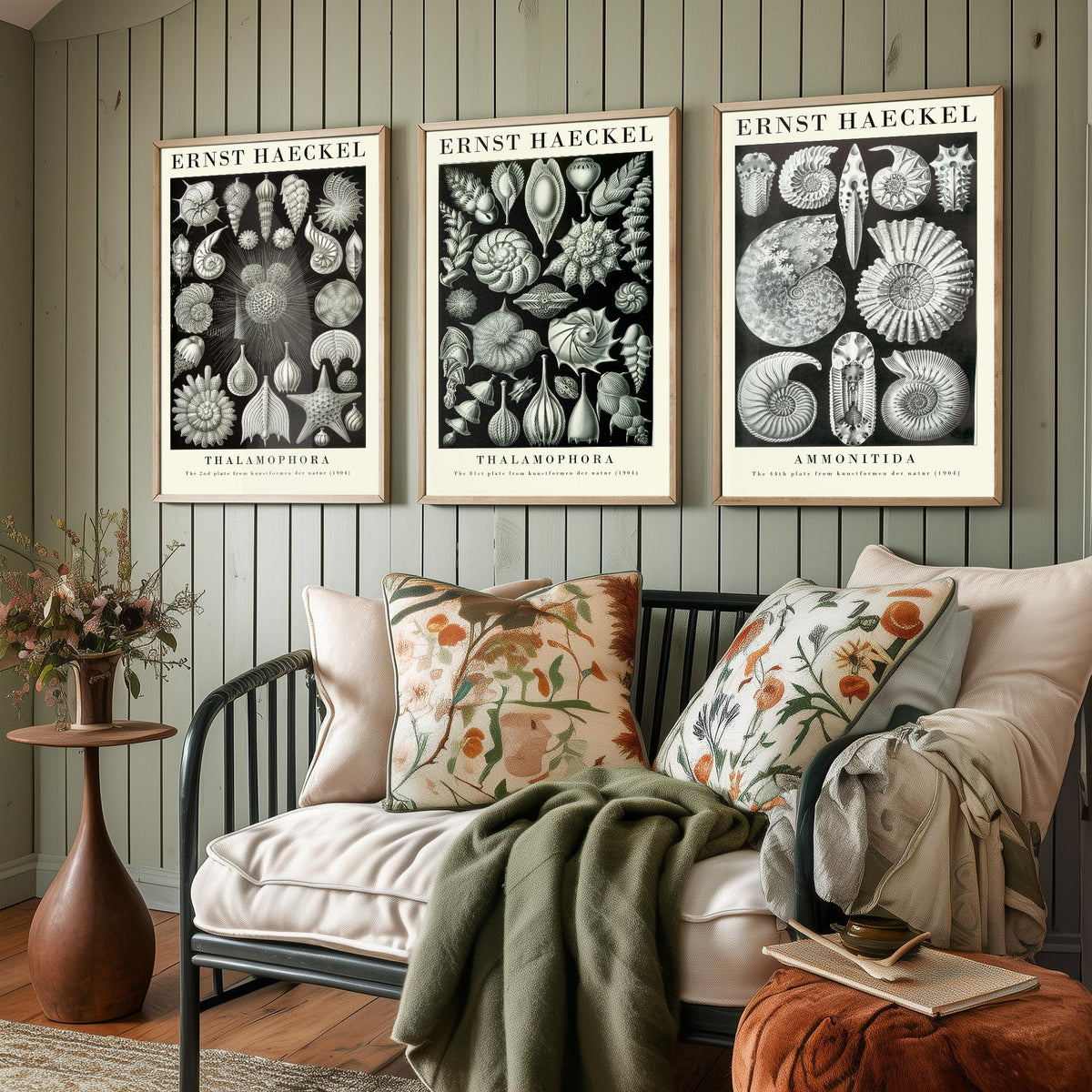 Ernst Haeckel Set of Three Gallery Art Prints - 3 Foraminifera Ammonite Shell Posters - Vintage Fossil Ocean Illustration