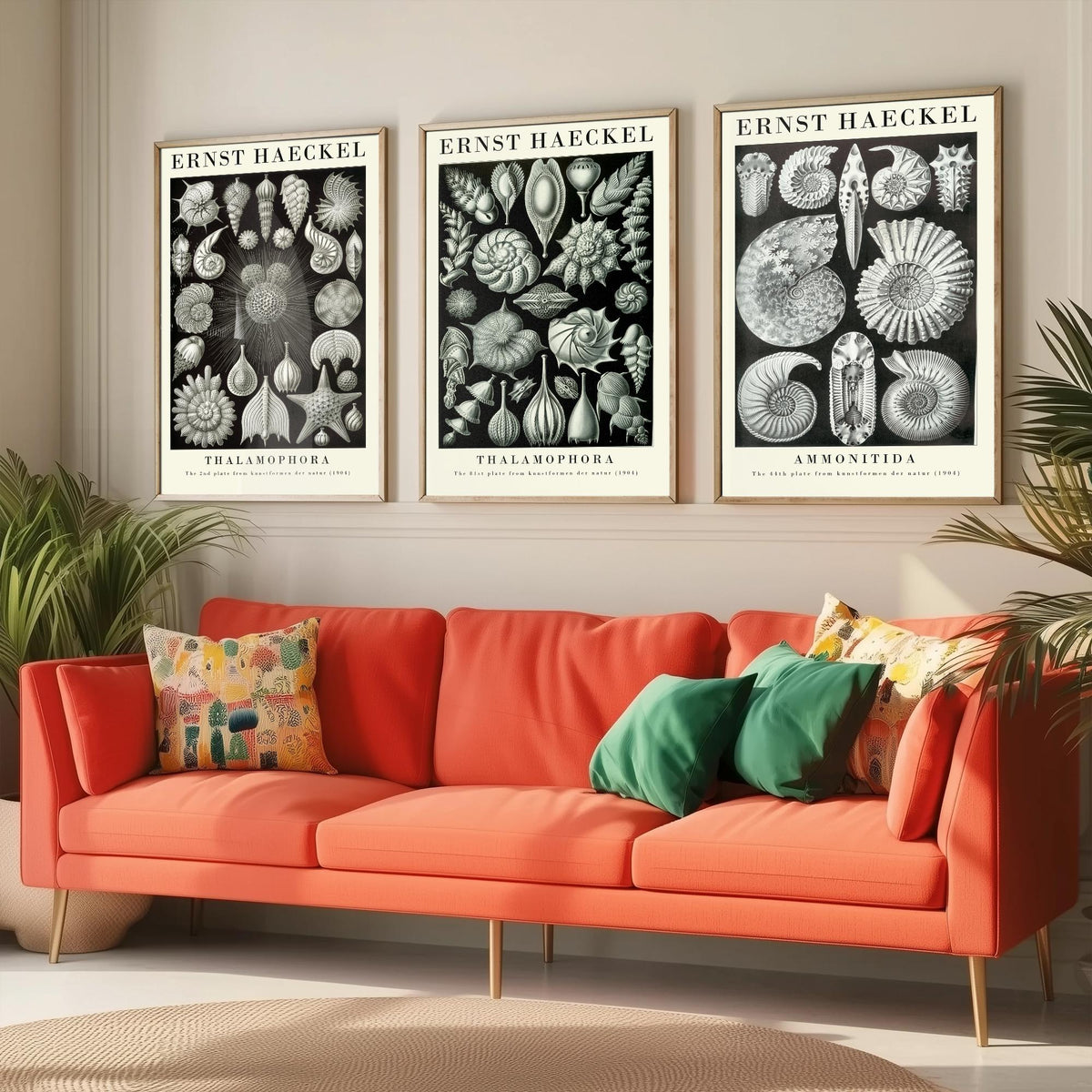 Ernst Haeckel Set of Three Gallery Art Prints - 3 Foraminifera Ammonite Shell Posters - Vintage Fossil Ocean Illustration