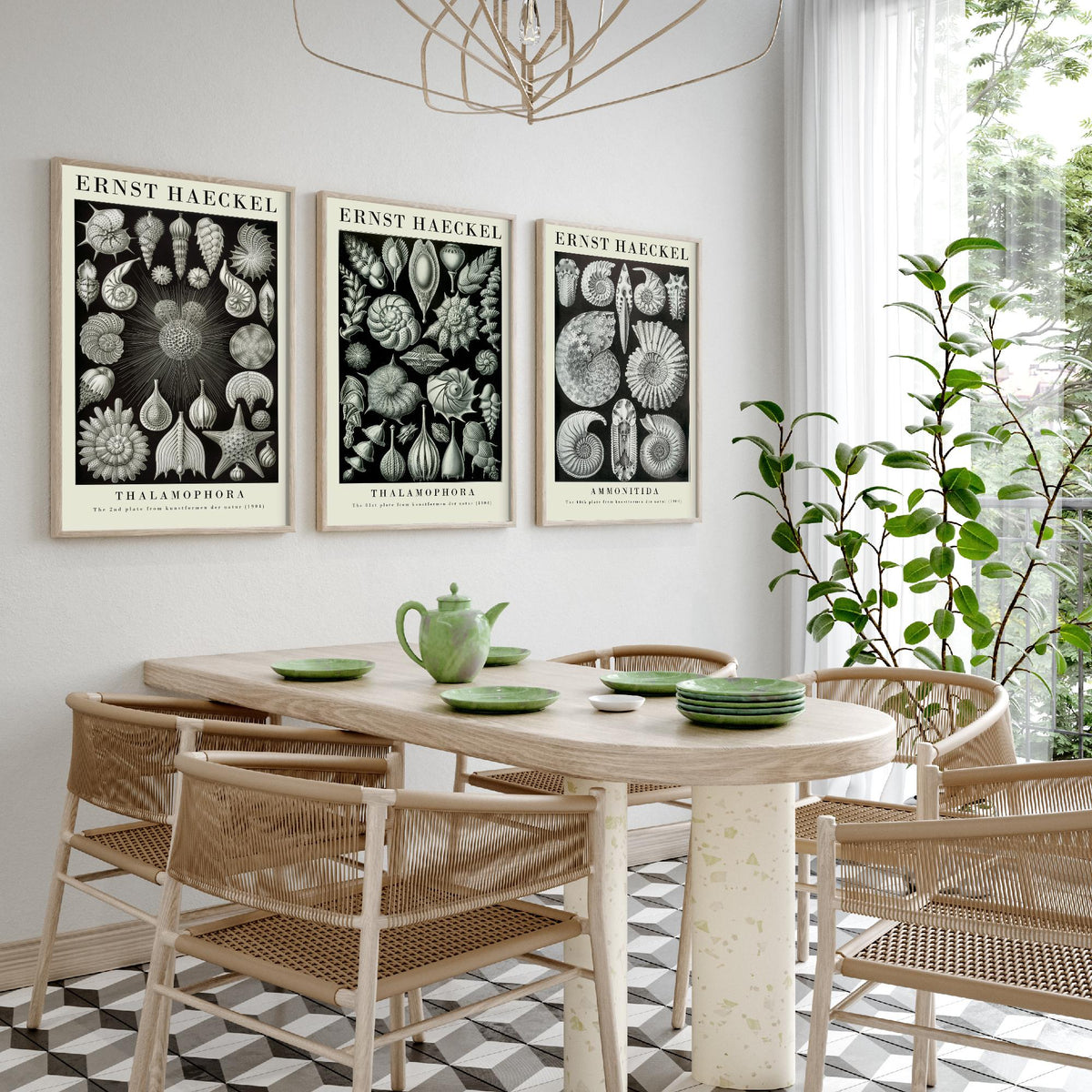 Ernst Haeckel Set of Three Gallery Art Prints - 3 Foraminifera Ammonite Shell Posters - Vintage Fossil Ocean Illustration