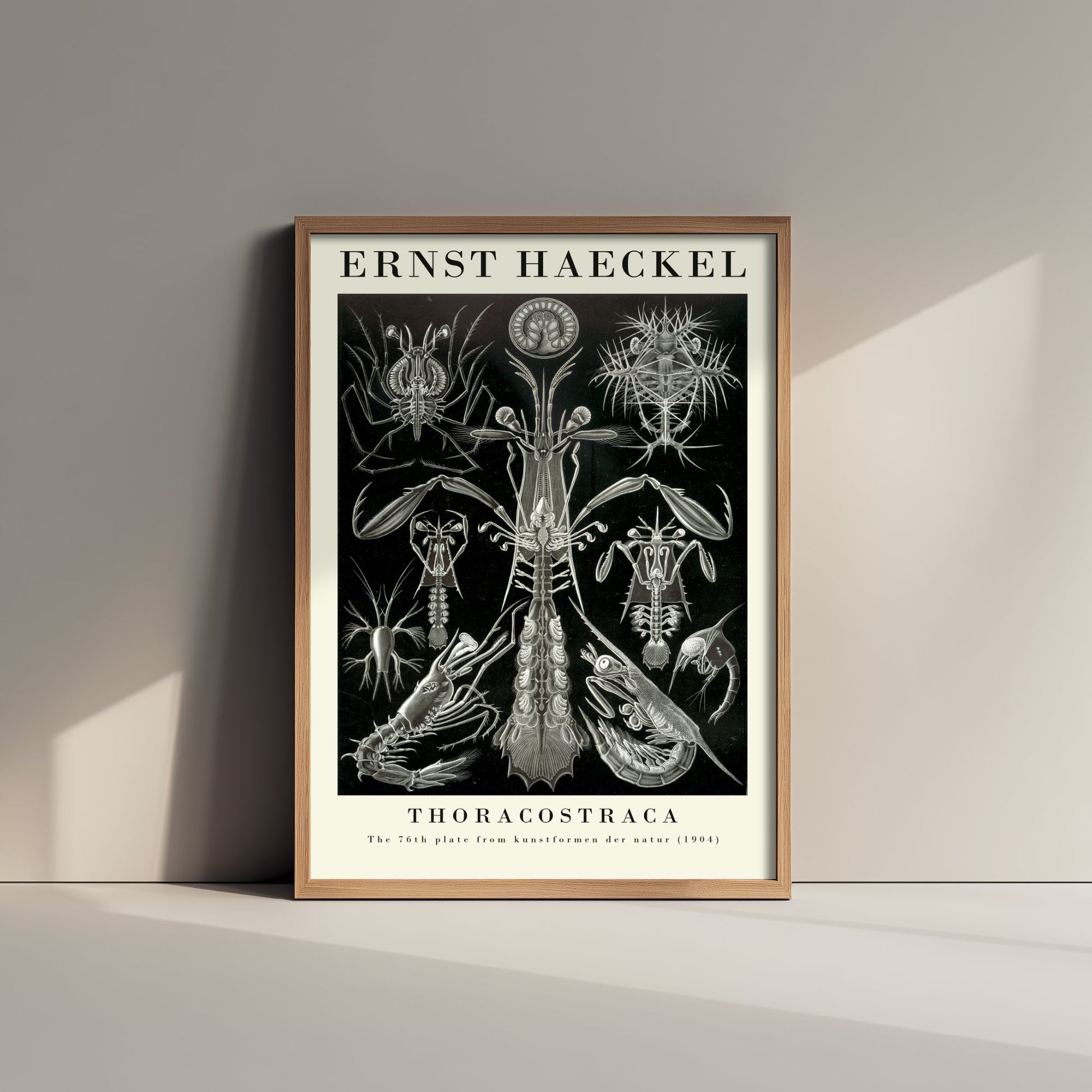 Crustaceans Art Print - Ernst Haeckel Poster - Thoracostraca Plate 76 - Art Forms in Nature Vintage Illustration